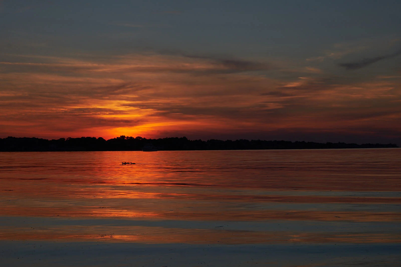 DSCF5204.jpg
