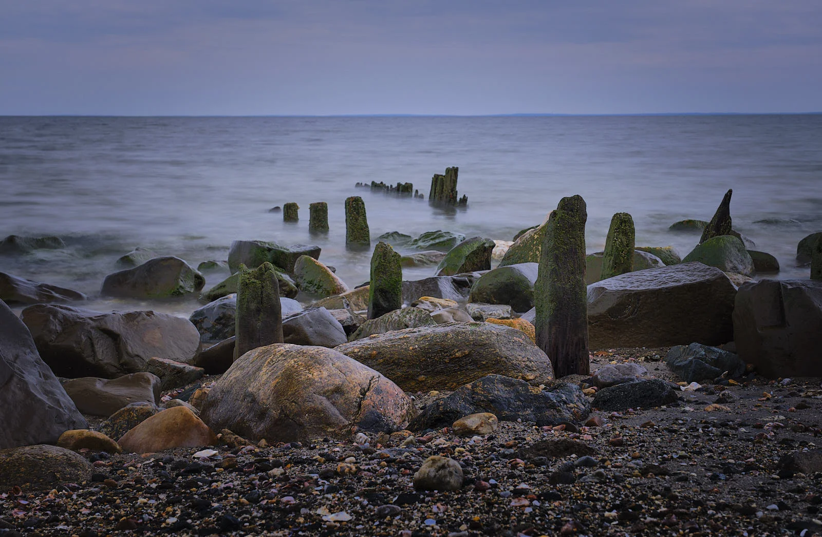 DSCF1414.jpg
