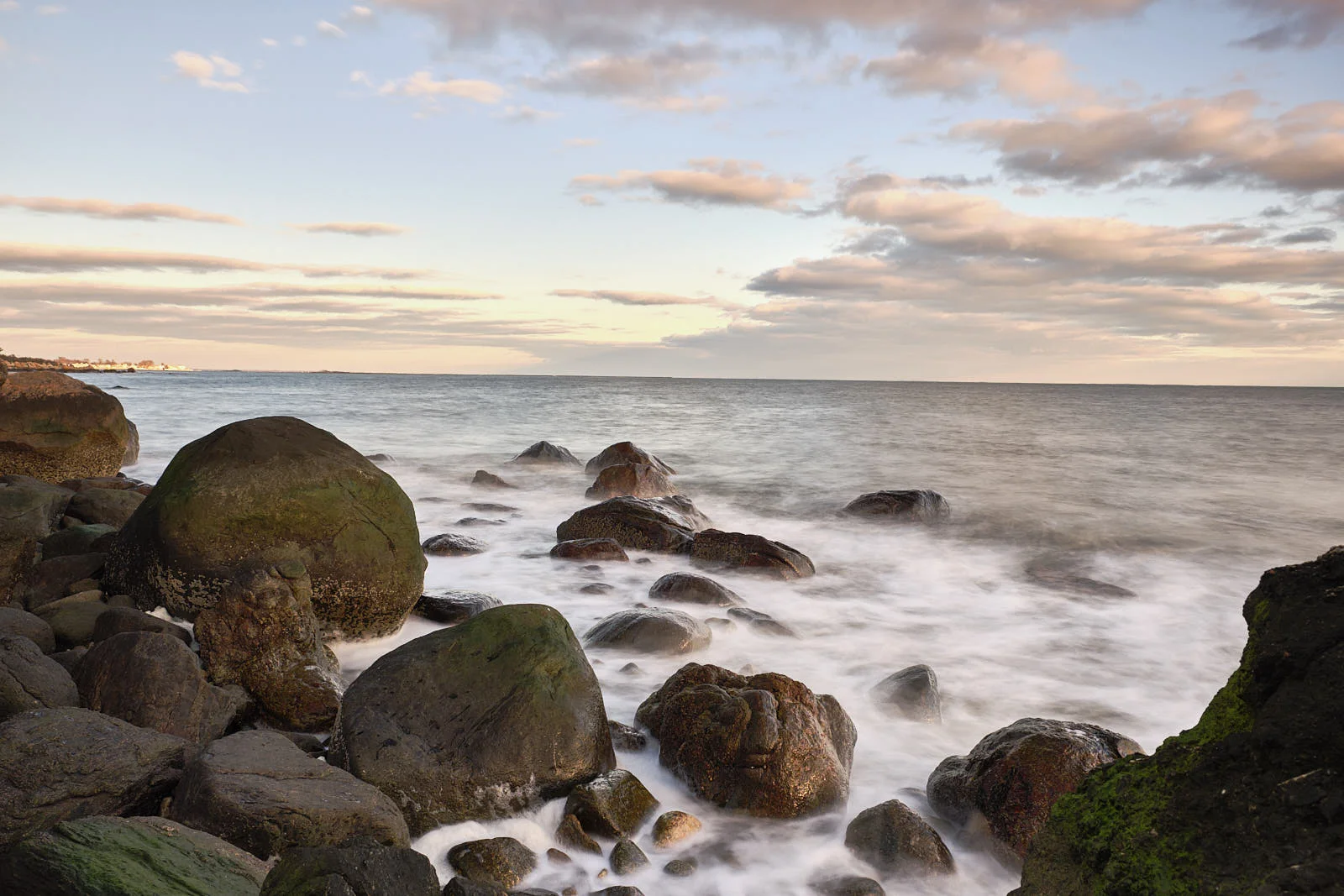 DSCF9546.jpg