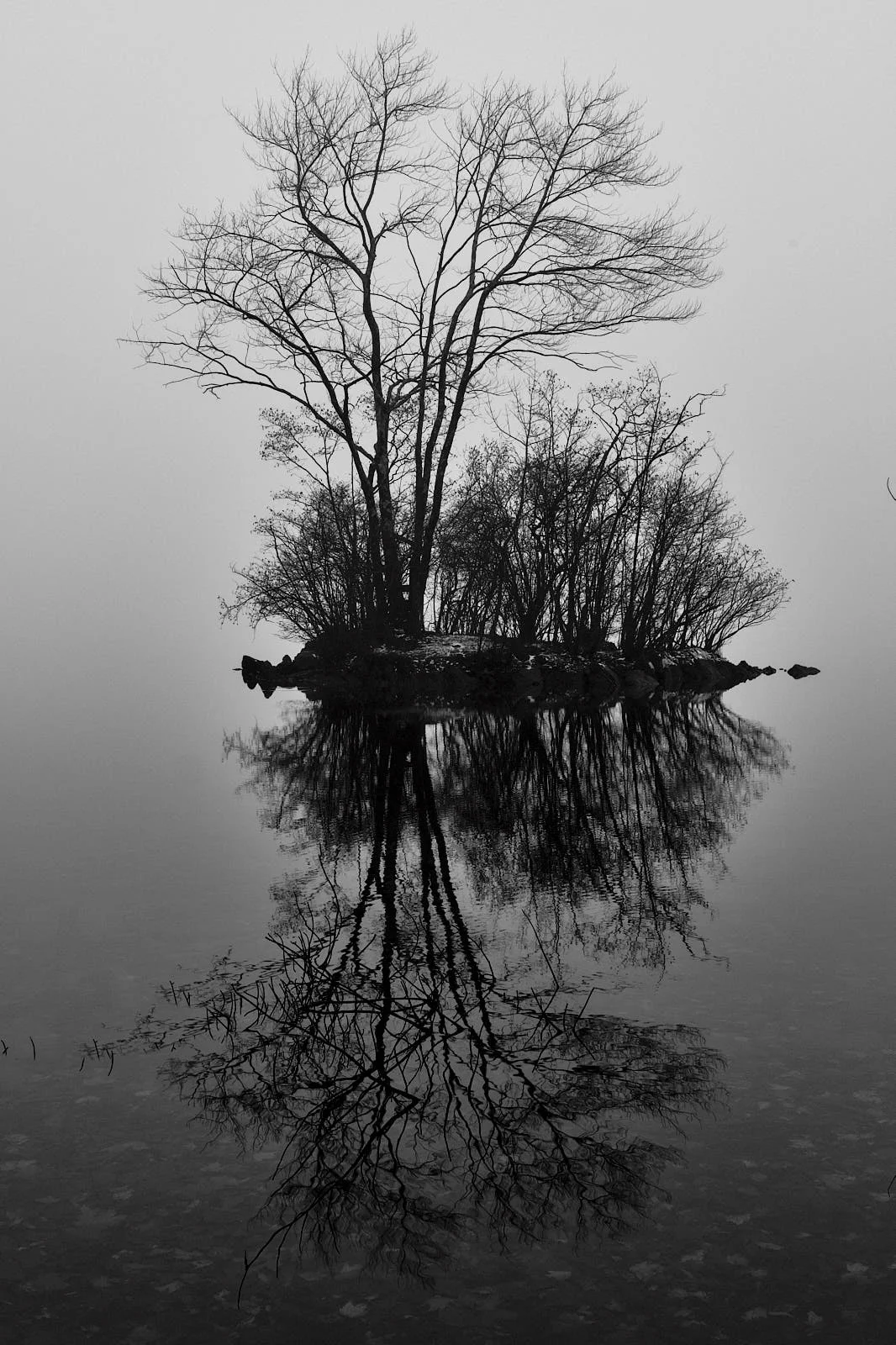 DSCF9245.jpg