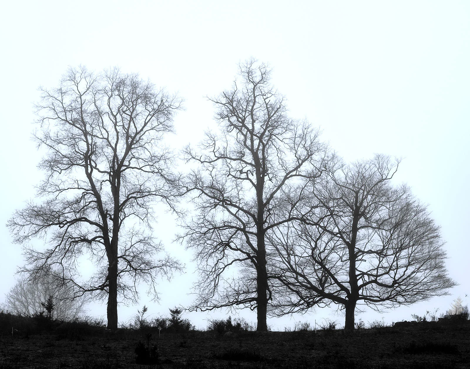 DSCF9203.jpg
