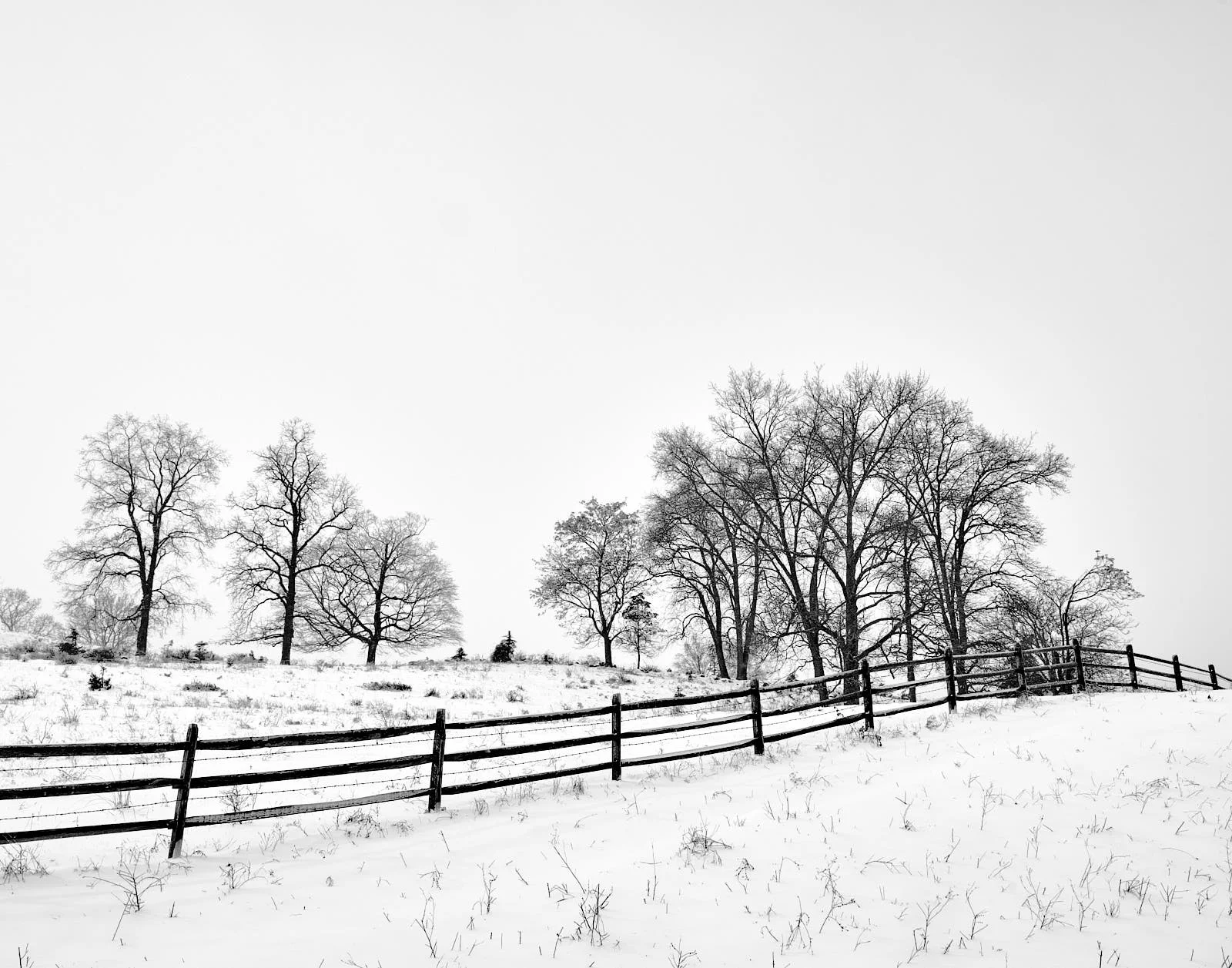 DSCF9948.jpg