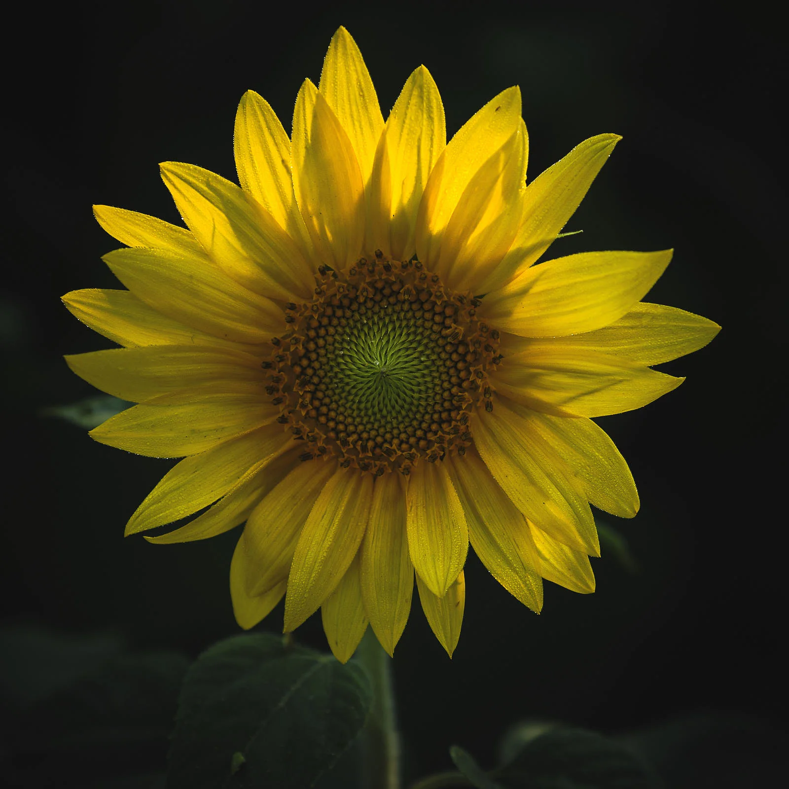 DSCF4735 1.jpg