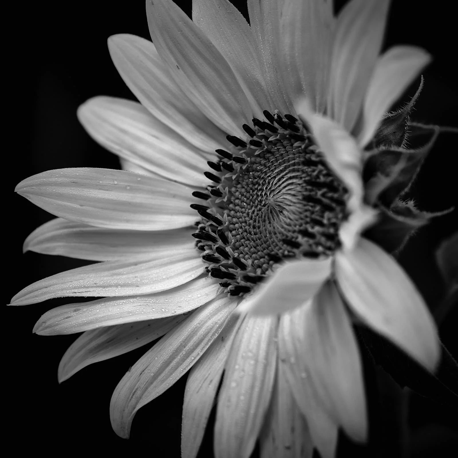 DSCF4635.jpg