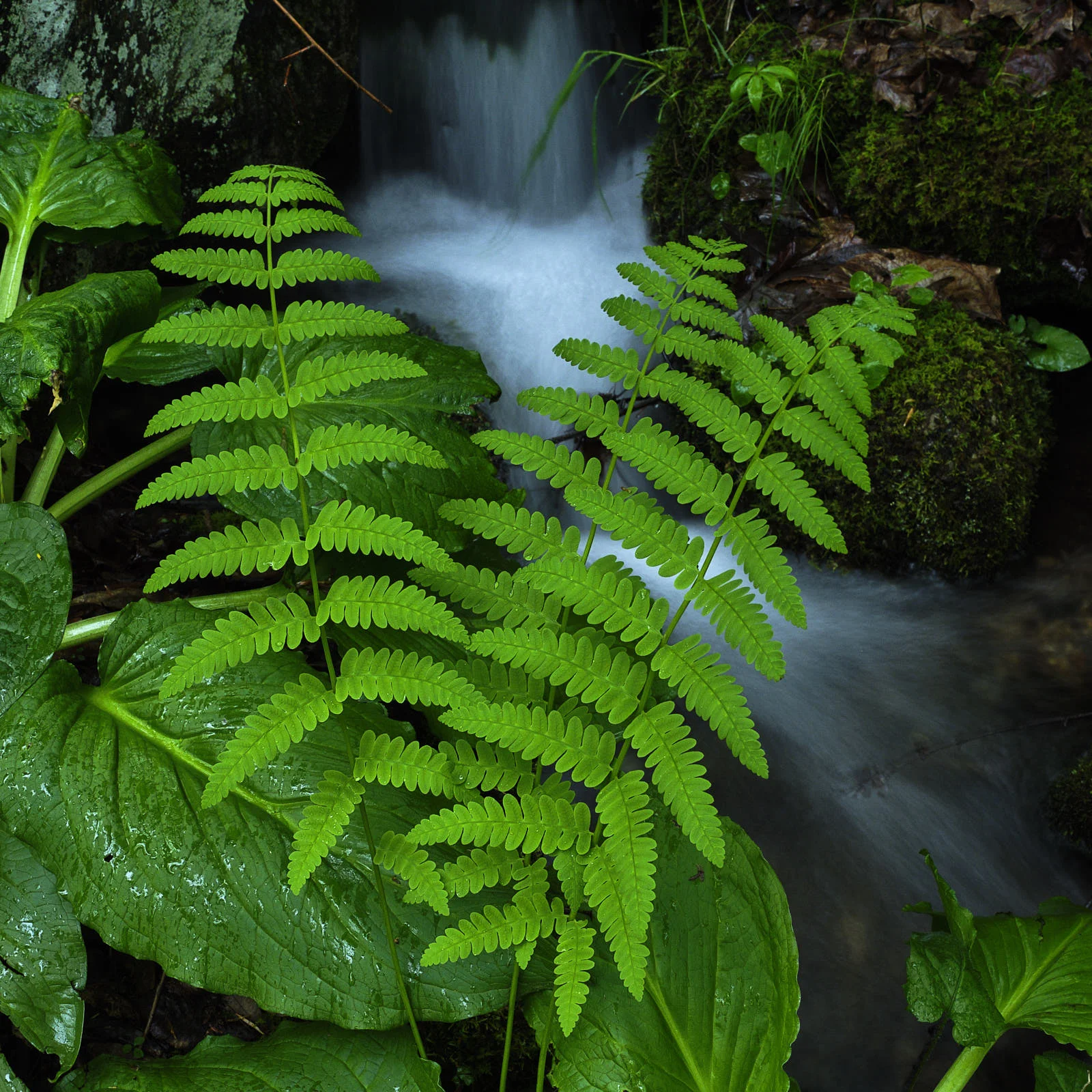 DSCF3280.jpg