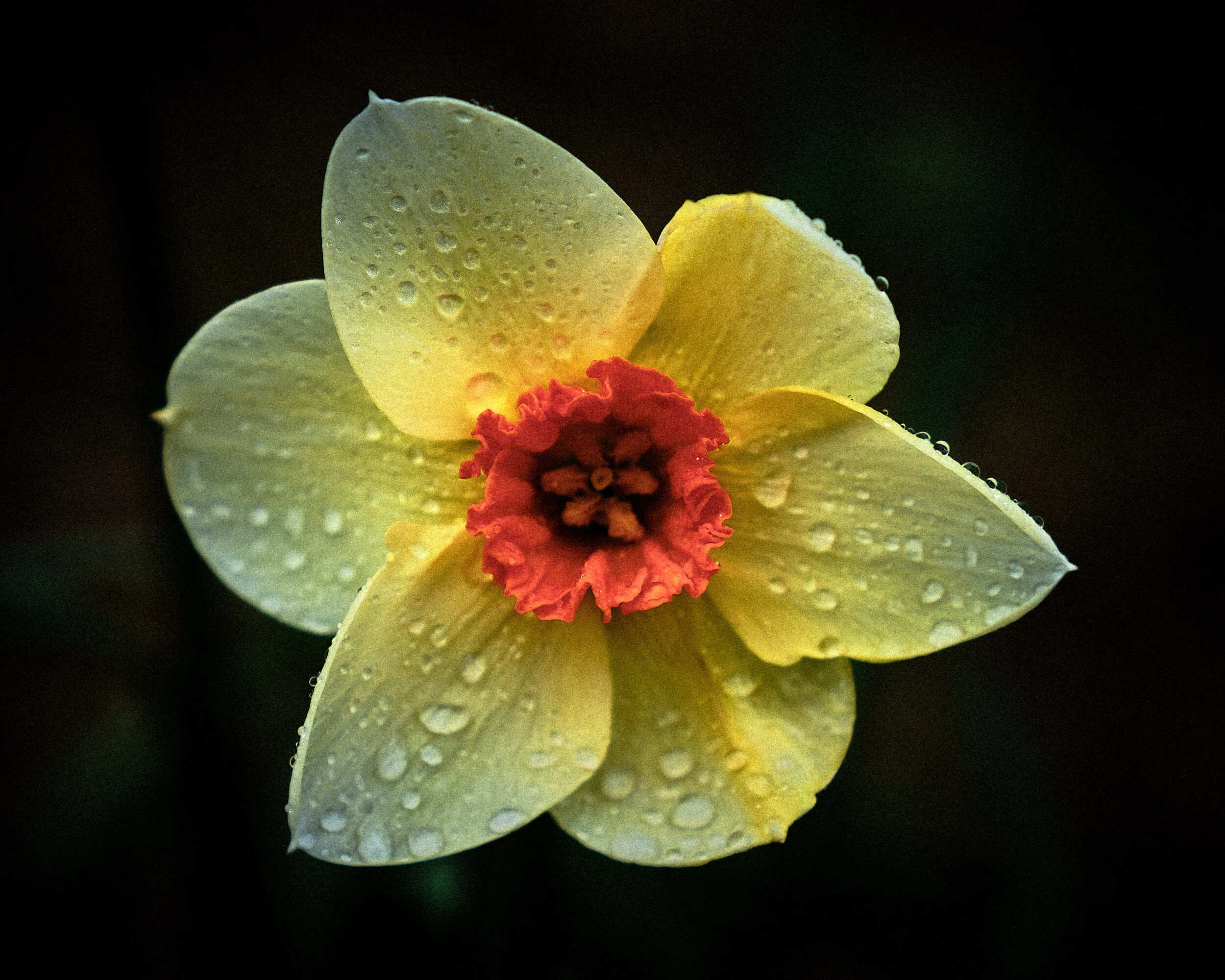 DSCF9138.jpg