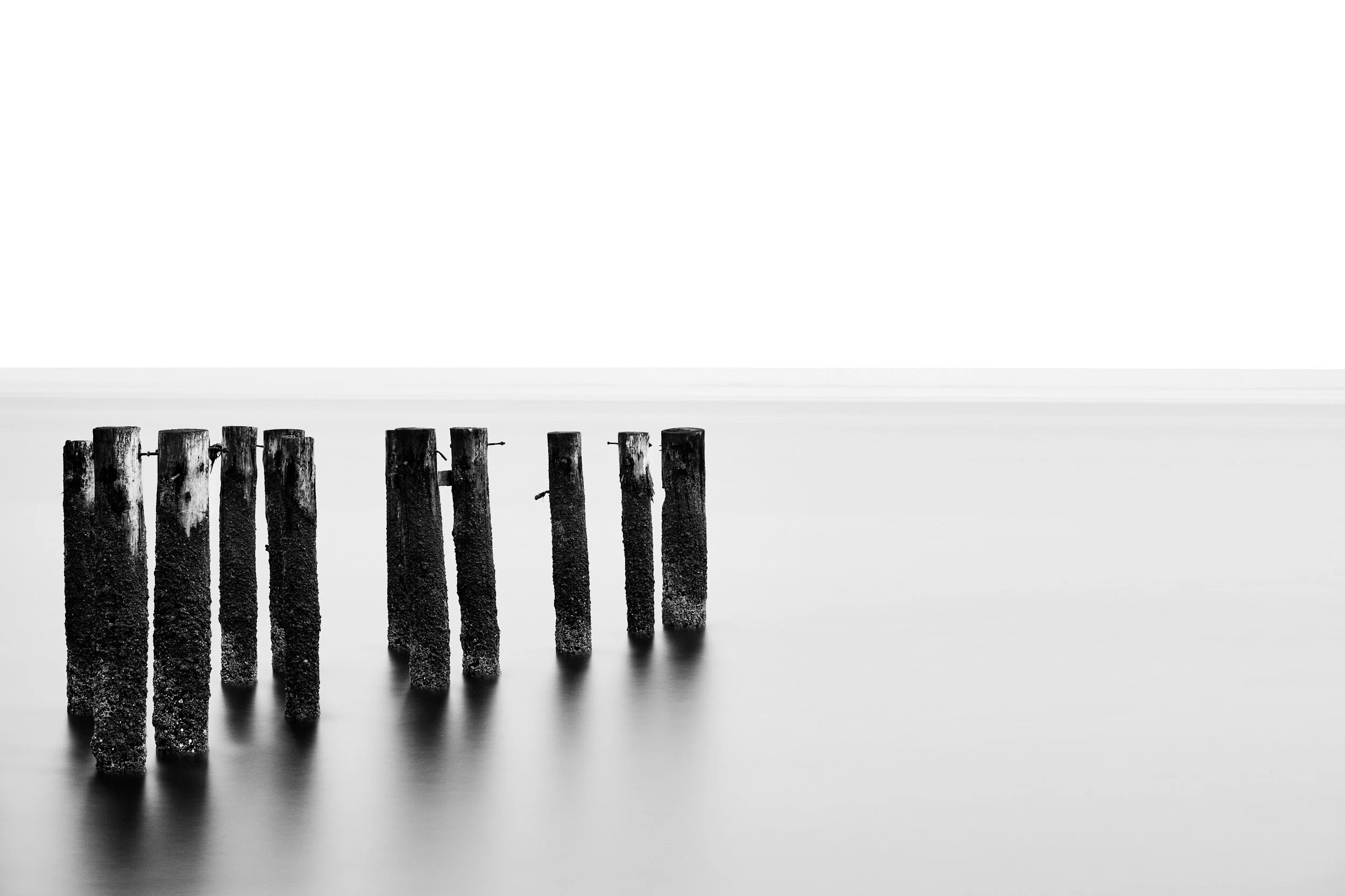 DSCF3835.jpg