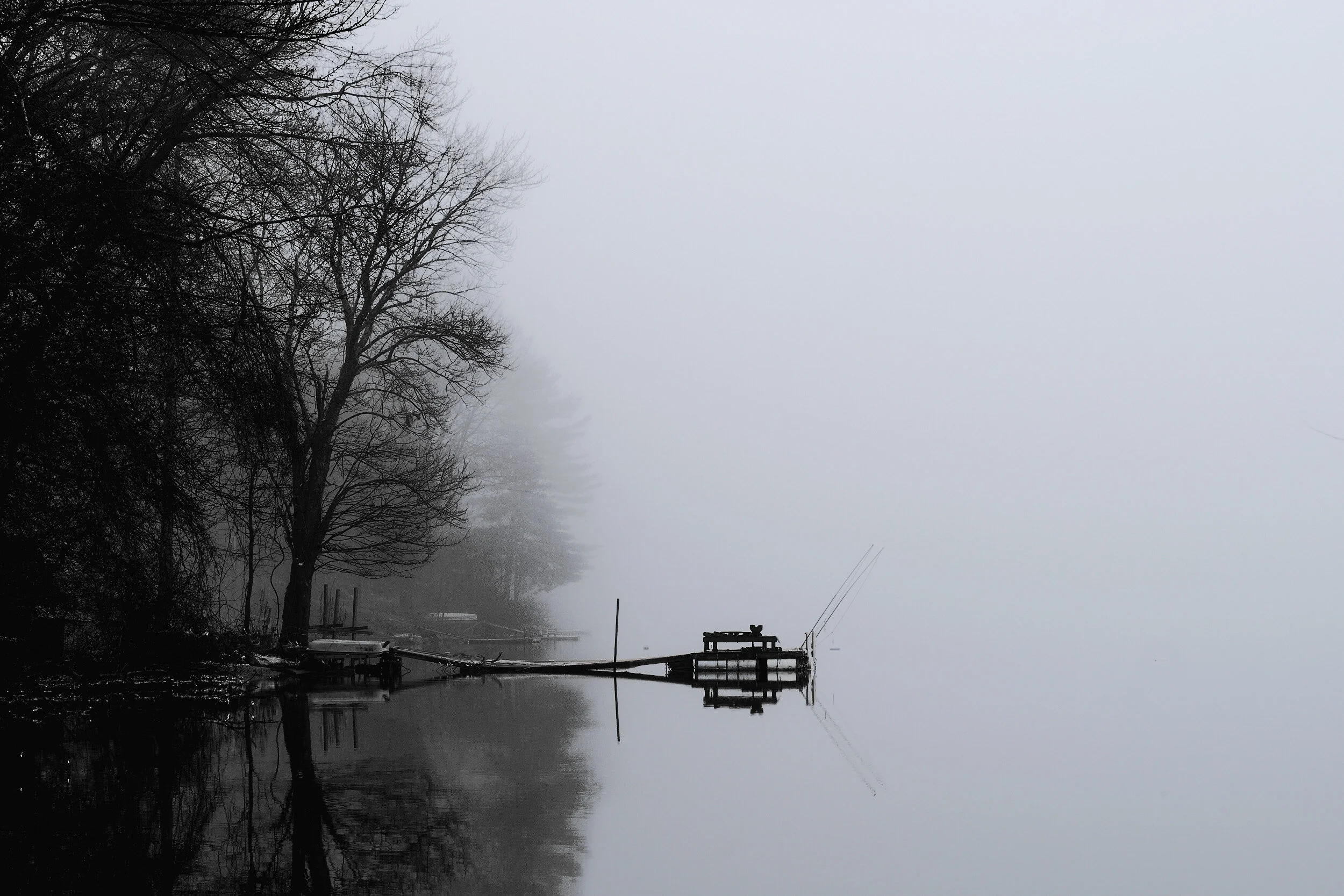 DSCF9253.jpg