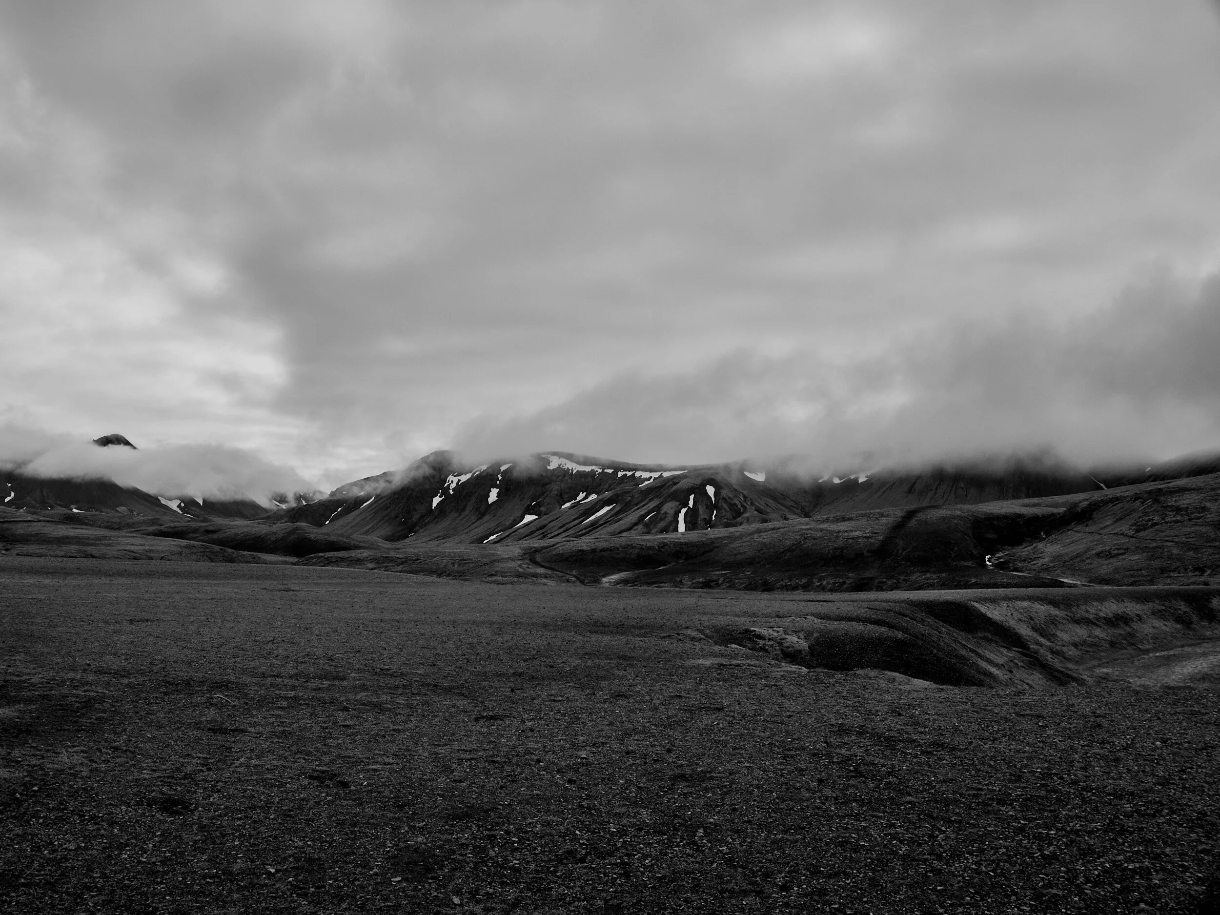 DSC00725.jpg