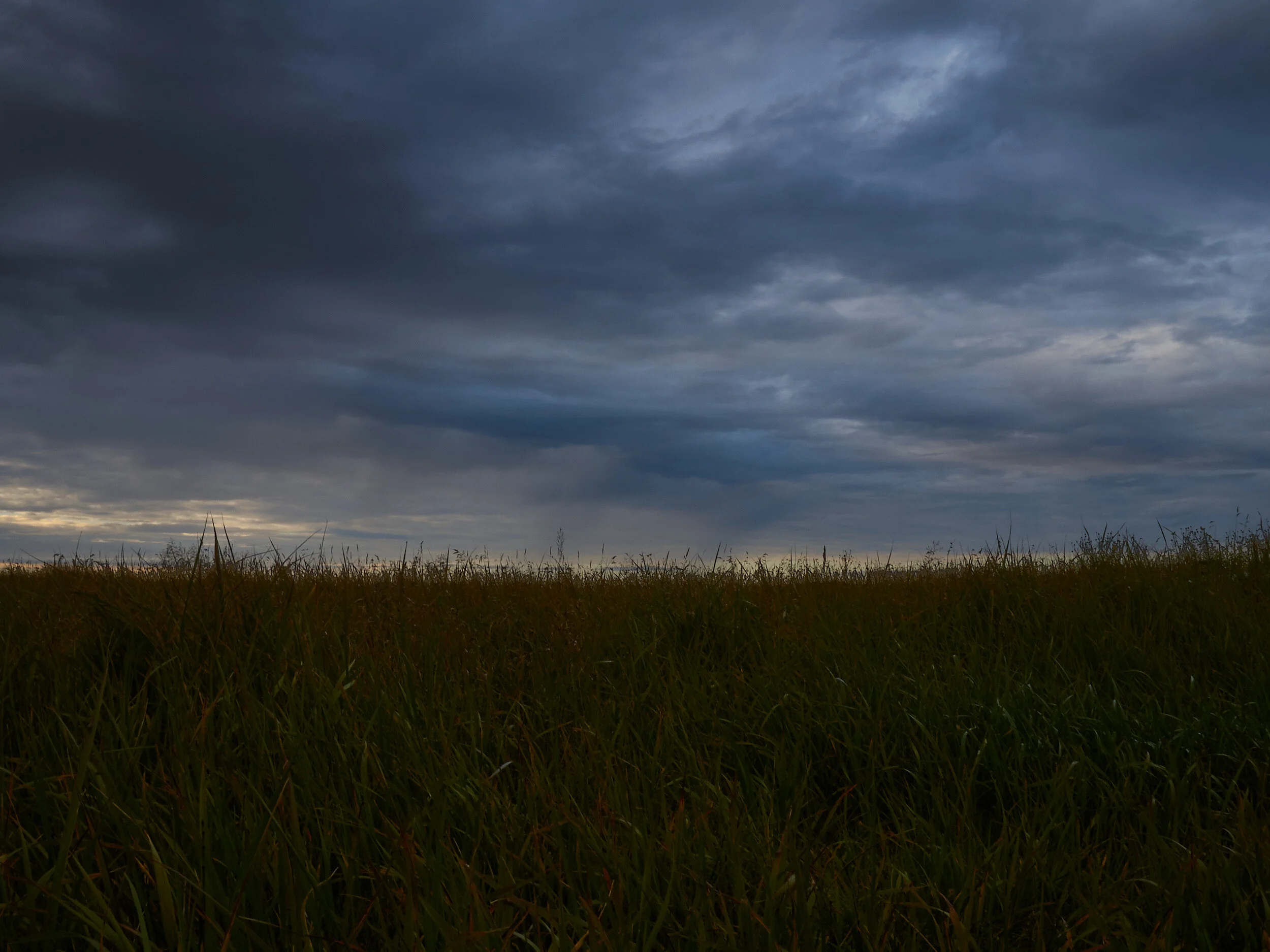 DSC01446.jpg