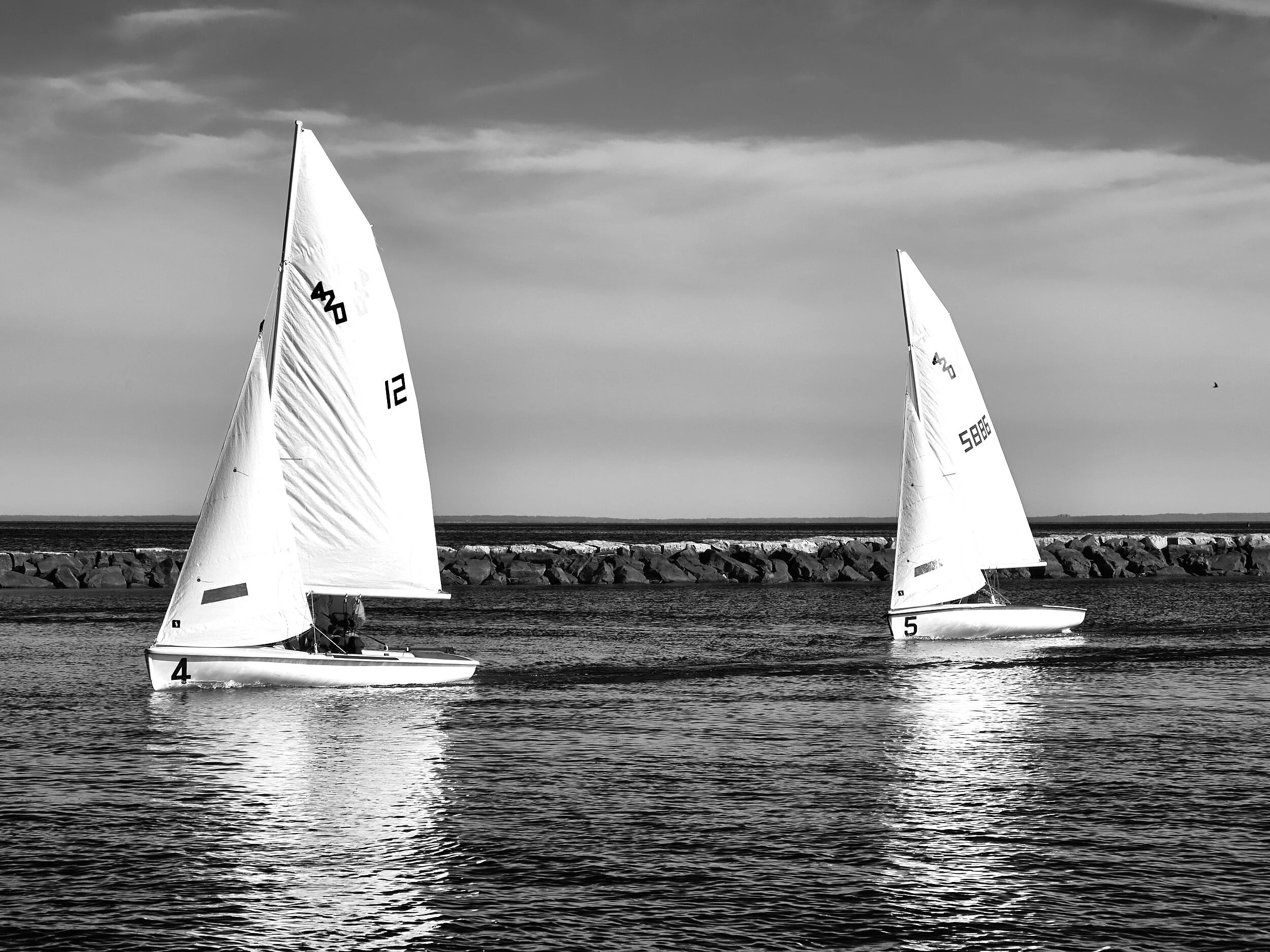DSCF3965.jpg