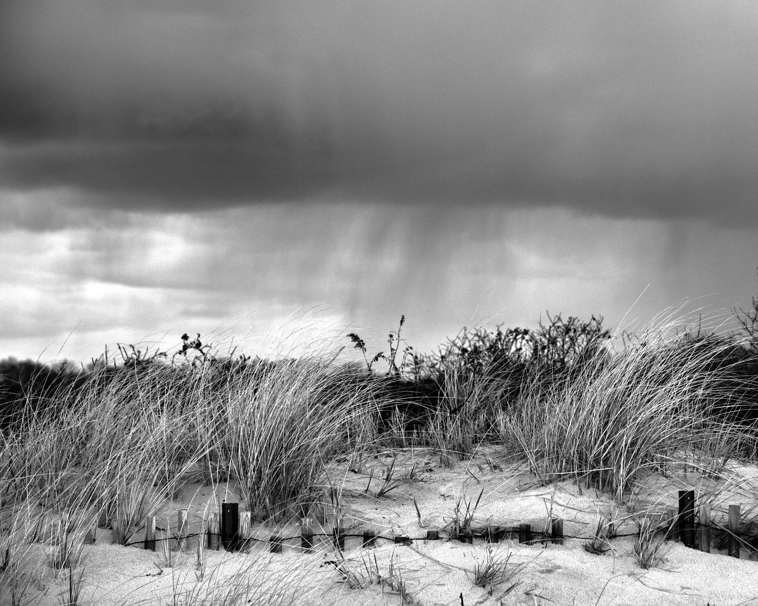 DSCF1209.jpg