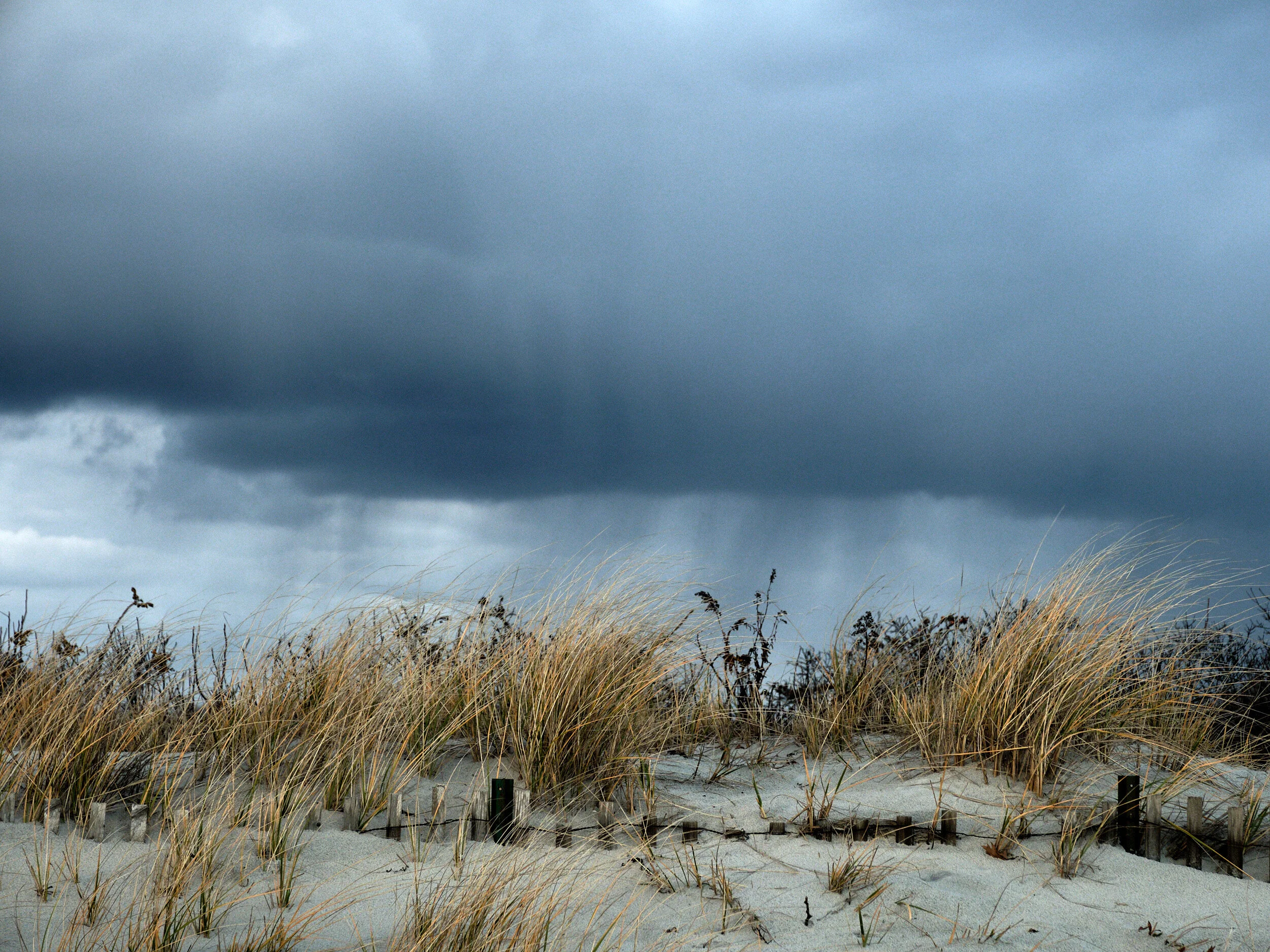 DSCF1206 1.jpg