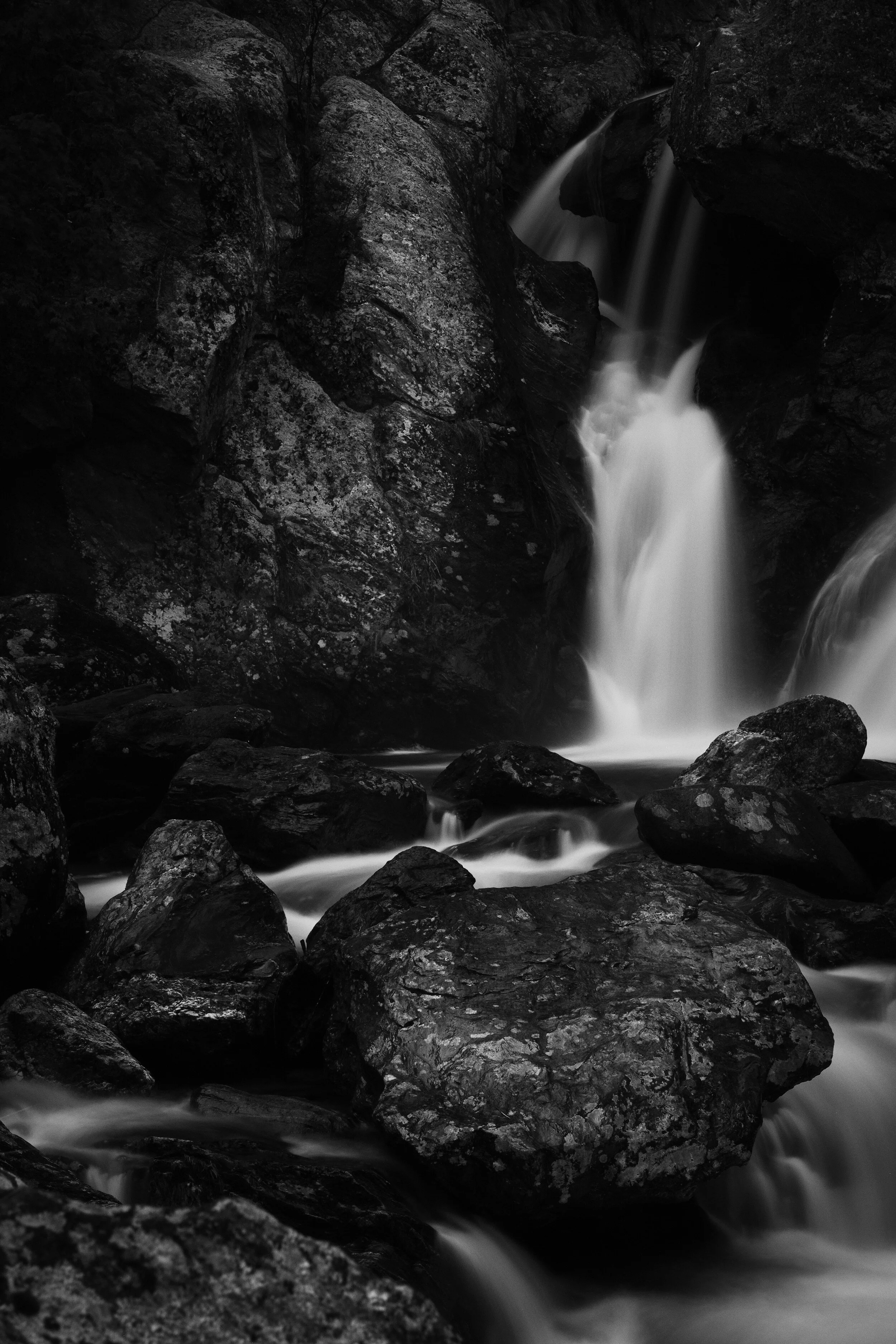 DSCF8362 1.jpg
