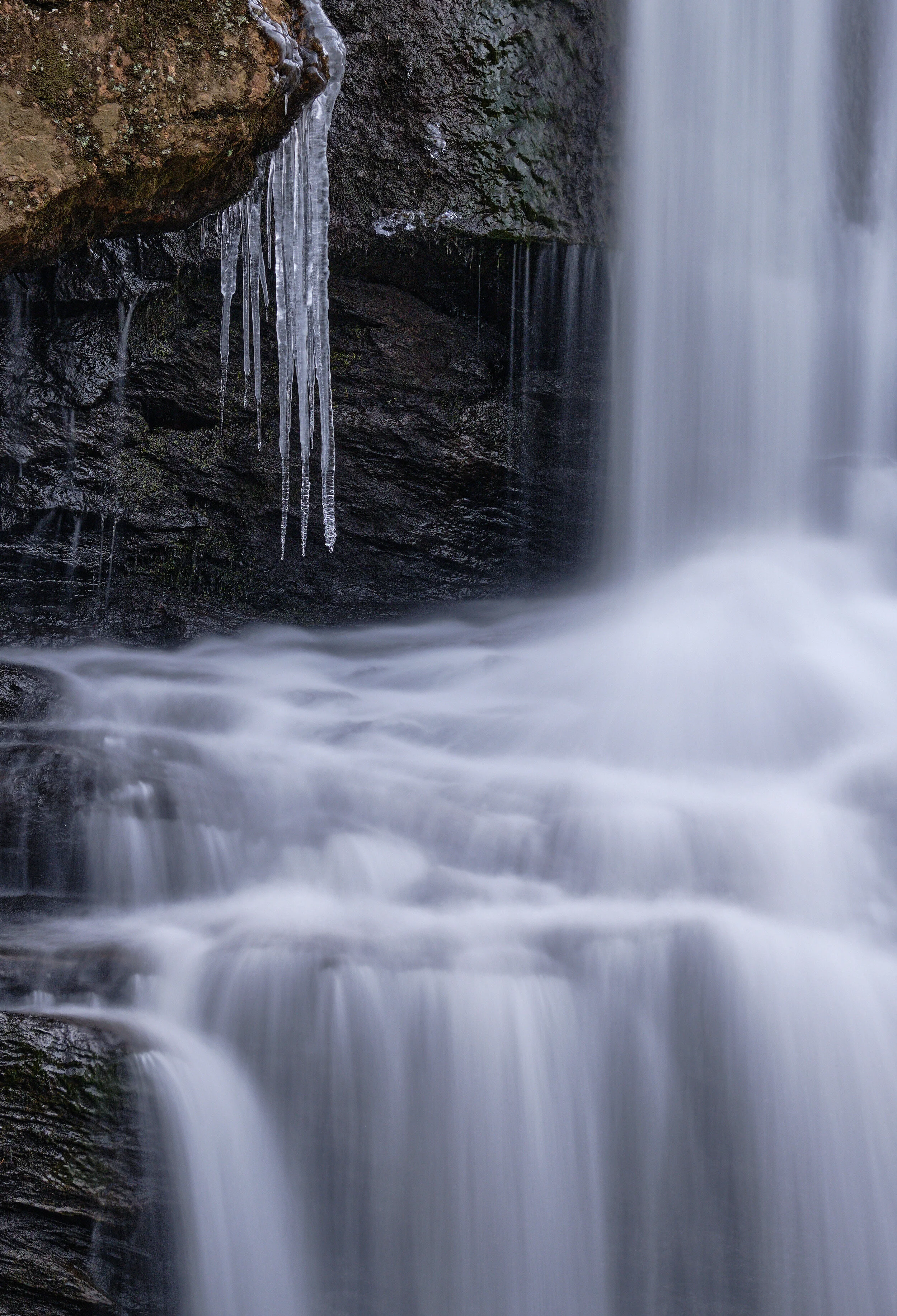 DSCF0916.jpg