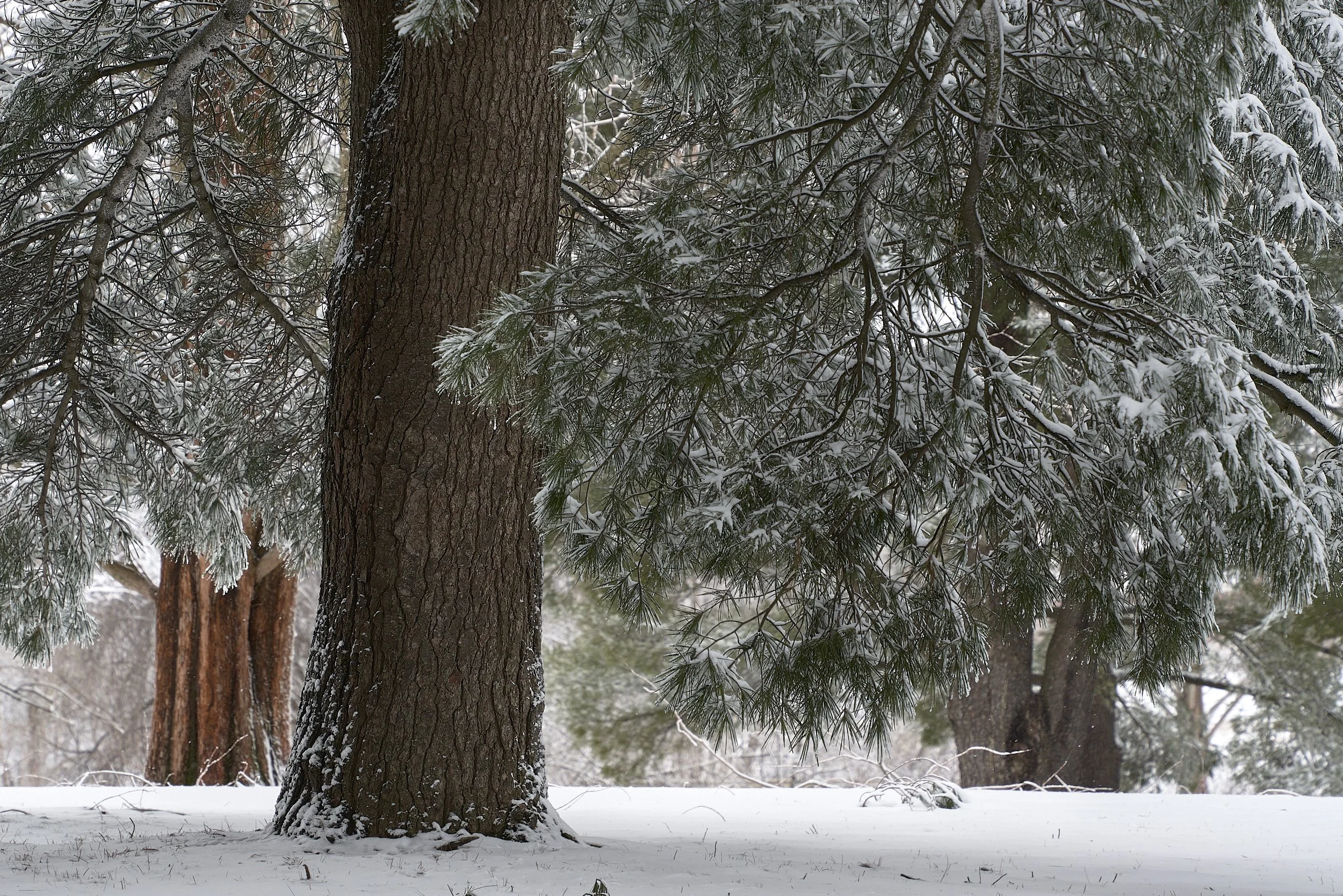 Hershey School Snow 22-03-12-0017.jpg