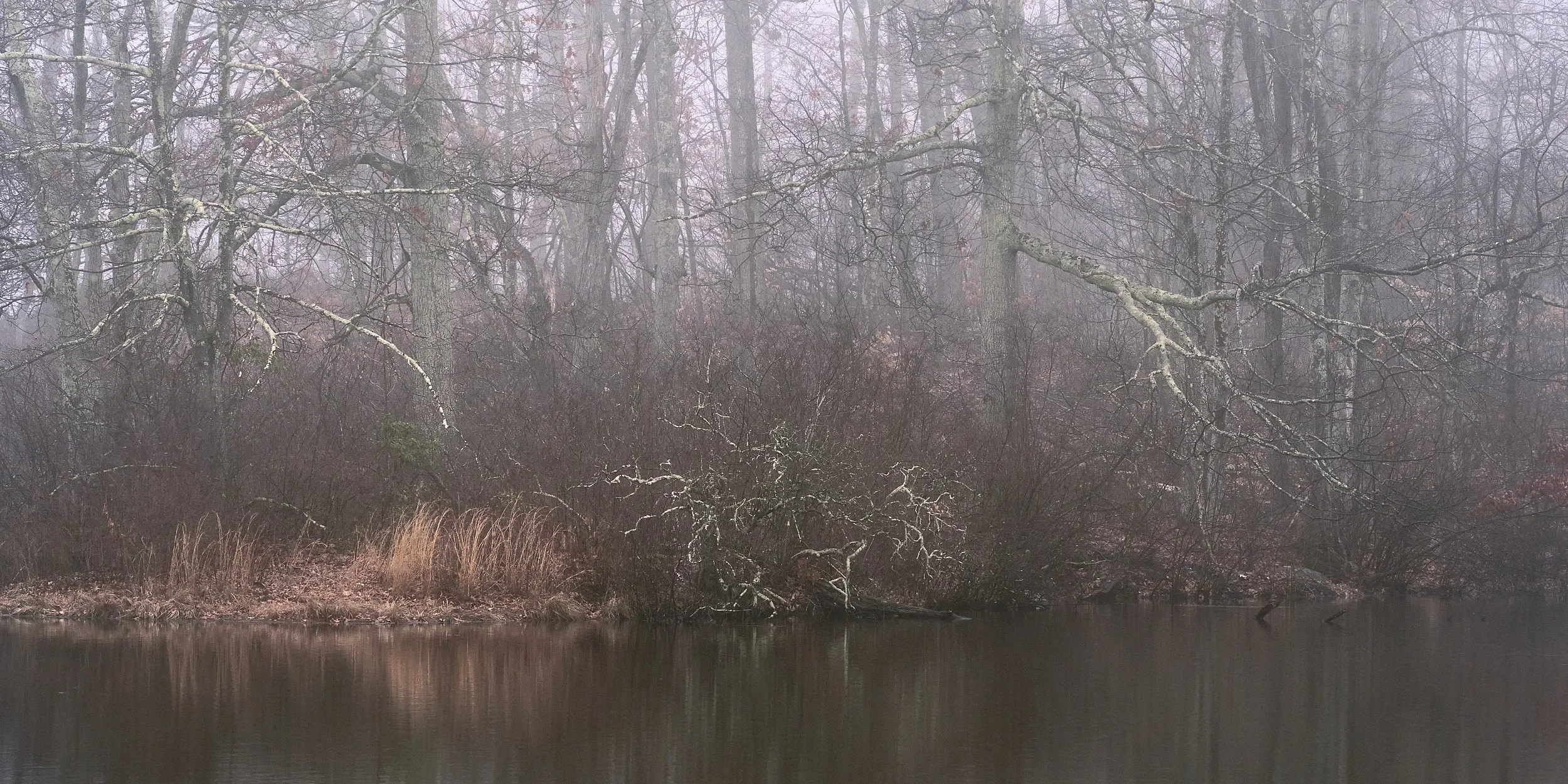 Knife Shop Falls Fog 22-03-19-0107.jpg