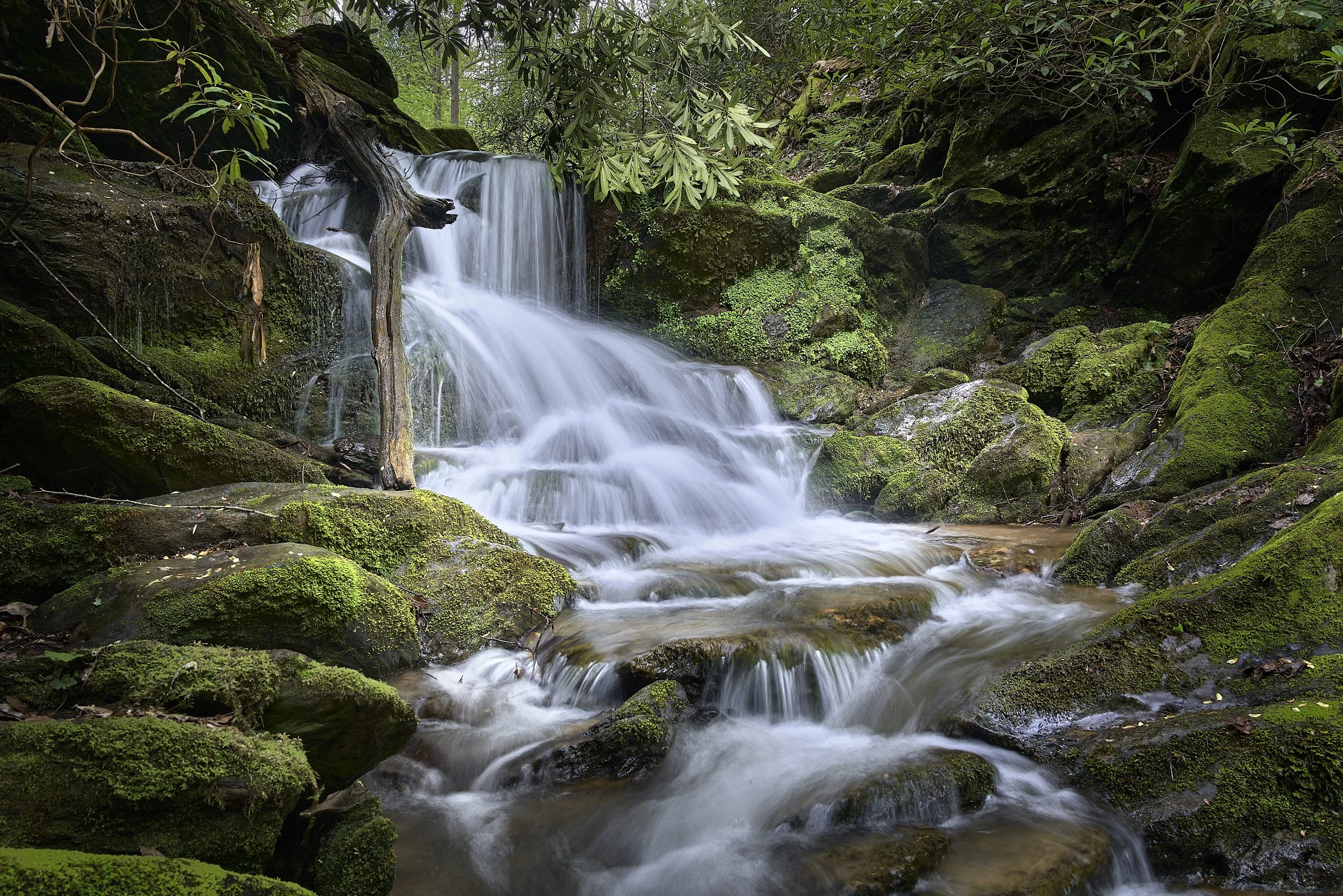Mill Creek Falls 22-04-14-0075.jpg