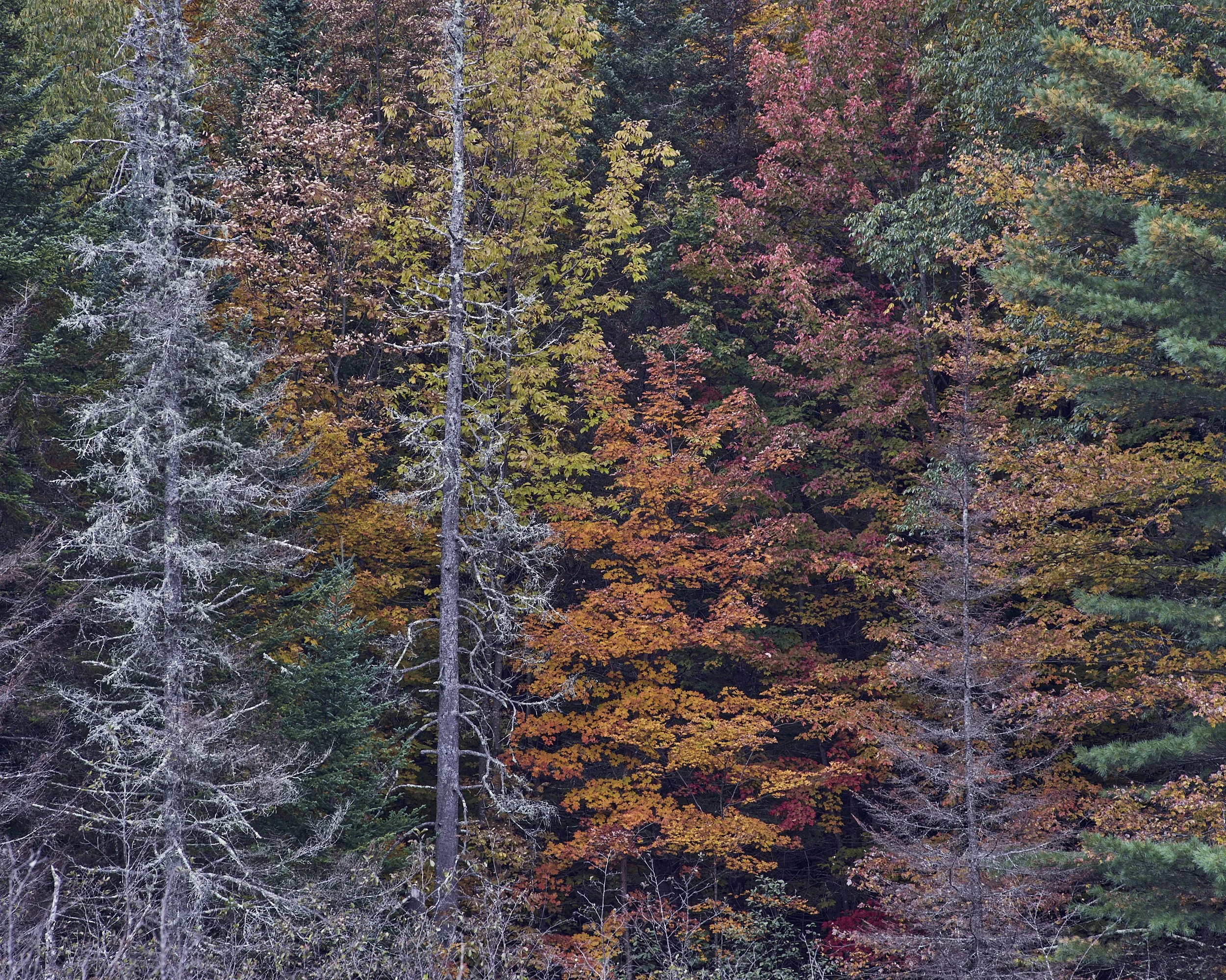 Vermont Fall Tour 22-10-5-6-0334.jpg