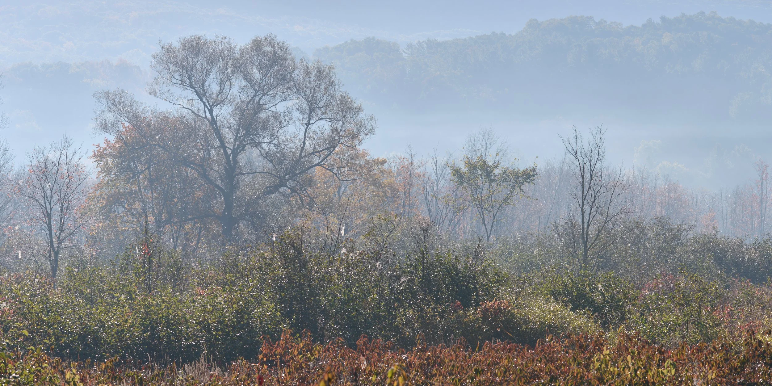 VT Fall 2025 25-10-05-1359-DxO_DeepPRIME XD2s.jpg