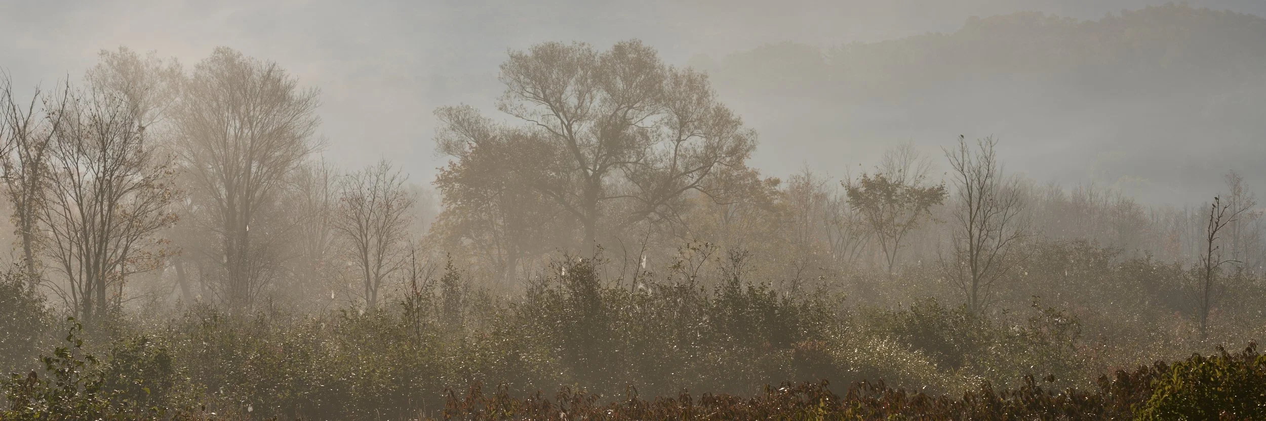 VT Fall 2025 25-10-05-1334-DxO_DeepPRIME XD2s.jpg