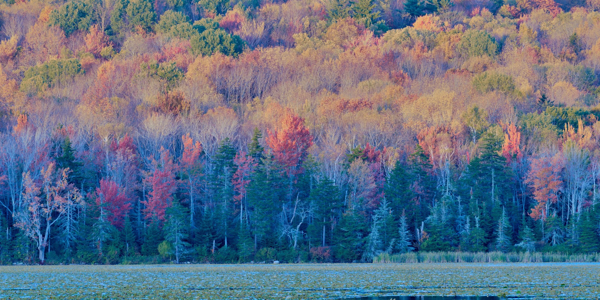 VT Fall 2025 25-10-05-0838-DxO_DeepPRIME XD2s.jpg