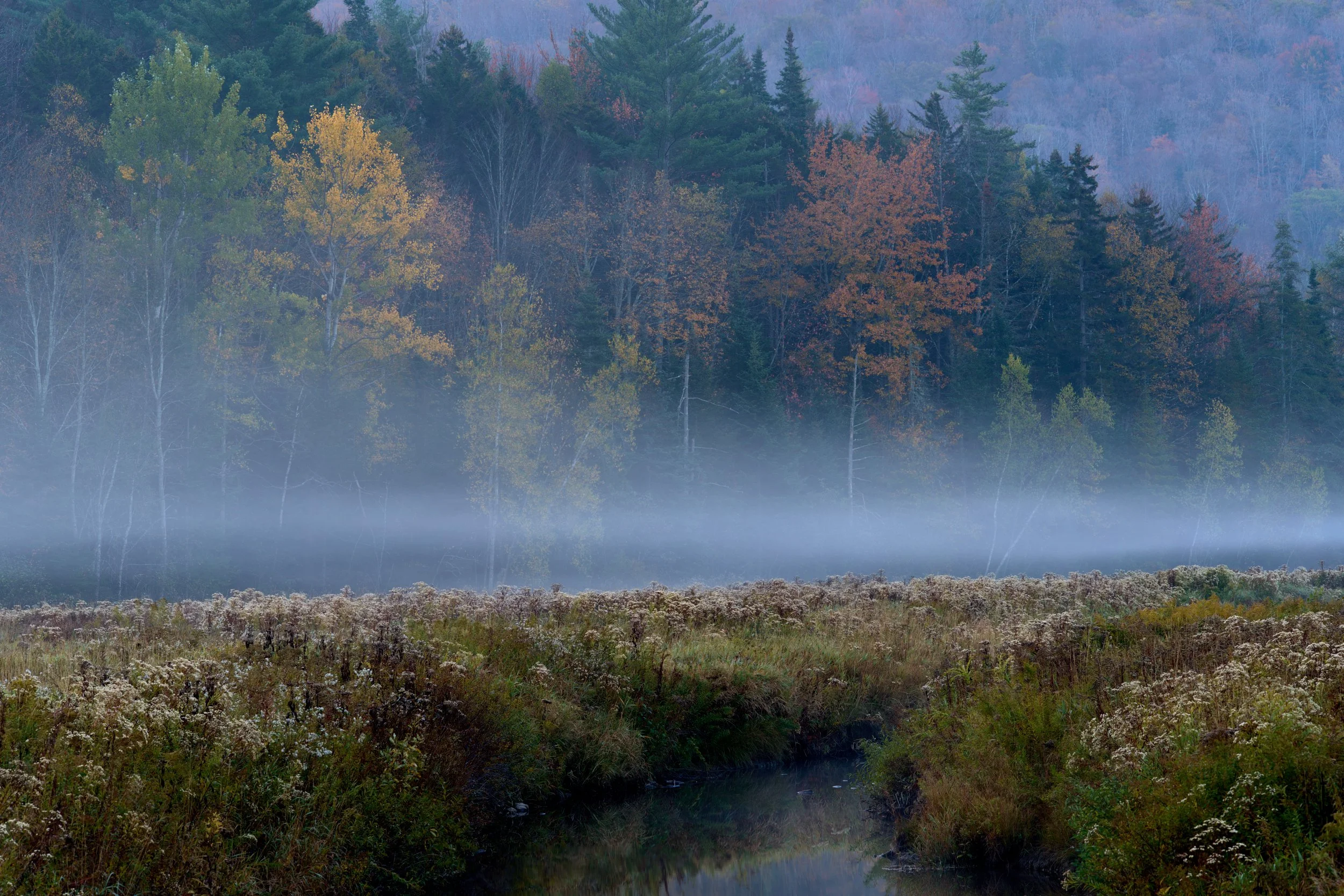 VT Fall 2025 25-10-05-0038-DxO_DeepPRIME XD2s.jpg