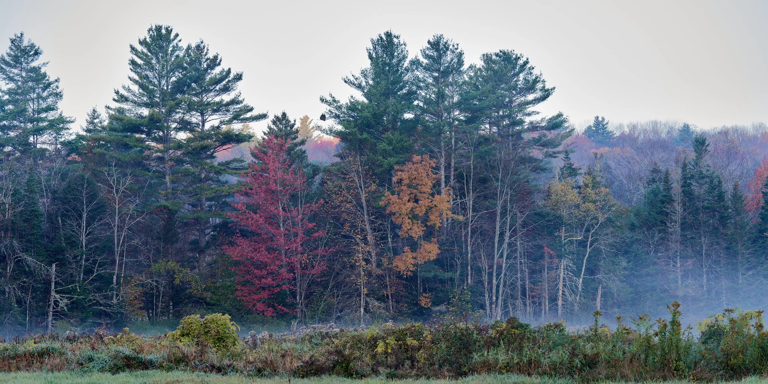 VT Fall 2025 25-10-05-0089-DxO_DeepPRIME XD2s.jpg