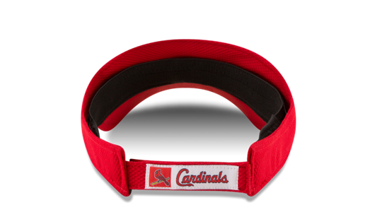 Image (21).png