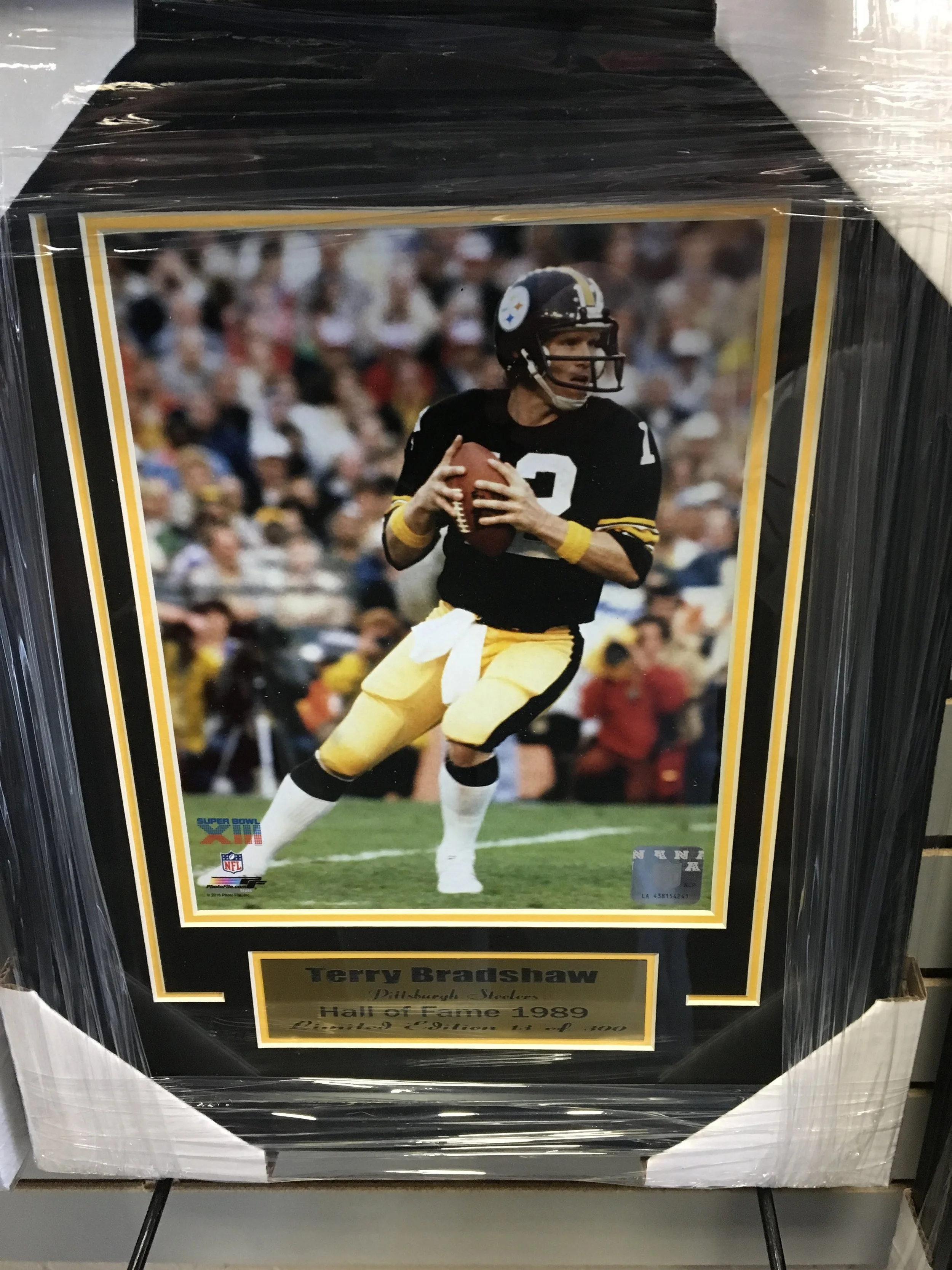 Terry Bradshaw Pittsburgh Steelers Framed Matted Serial Numbered Picture