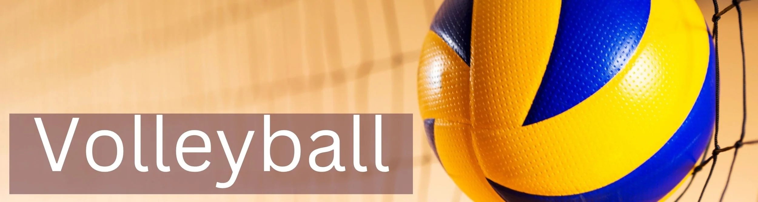 A volleyball on Court to highlight the Maribyrnong Sports Academy volleyball program.