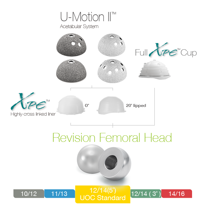 Revision-Femoral-Head-img2.png