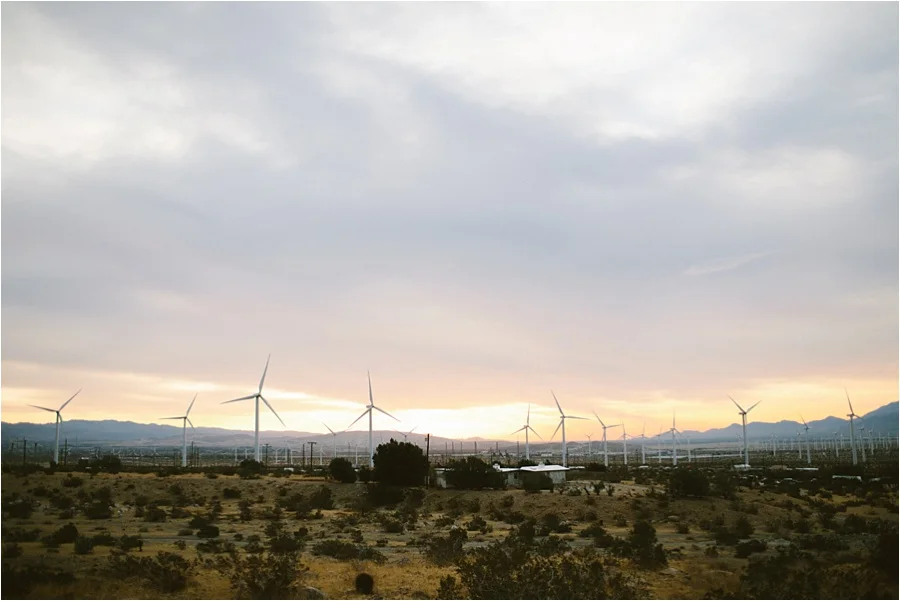 Palm Springs + Joshua Tree