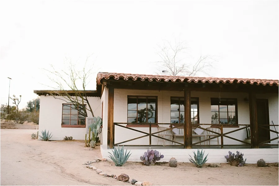 Palm Springs + Joshua Tree