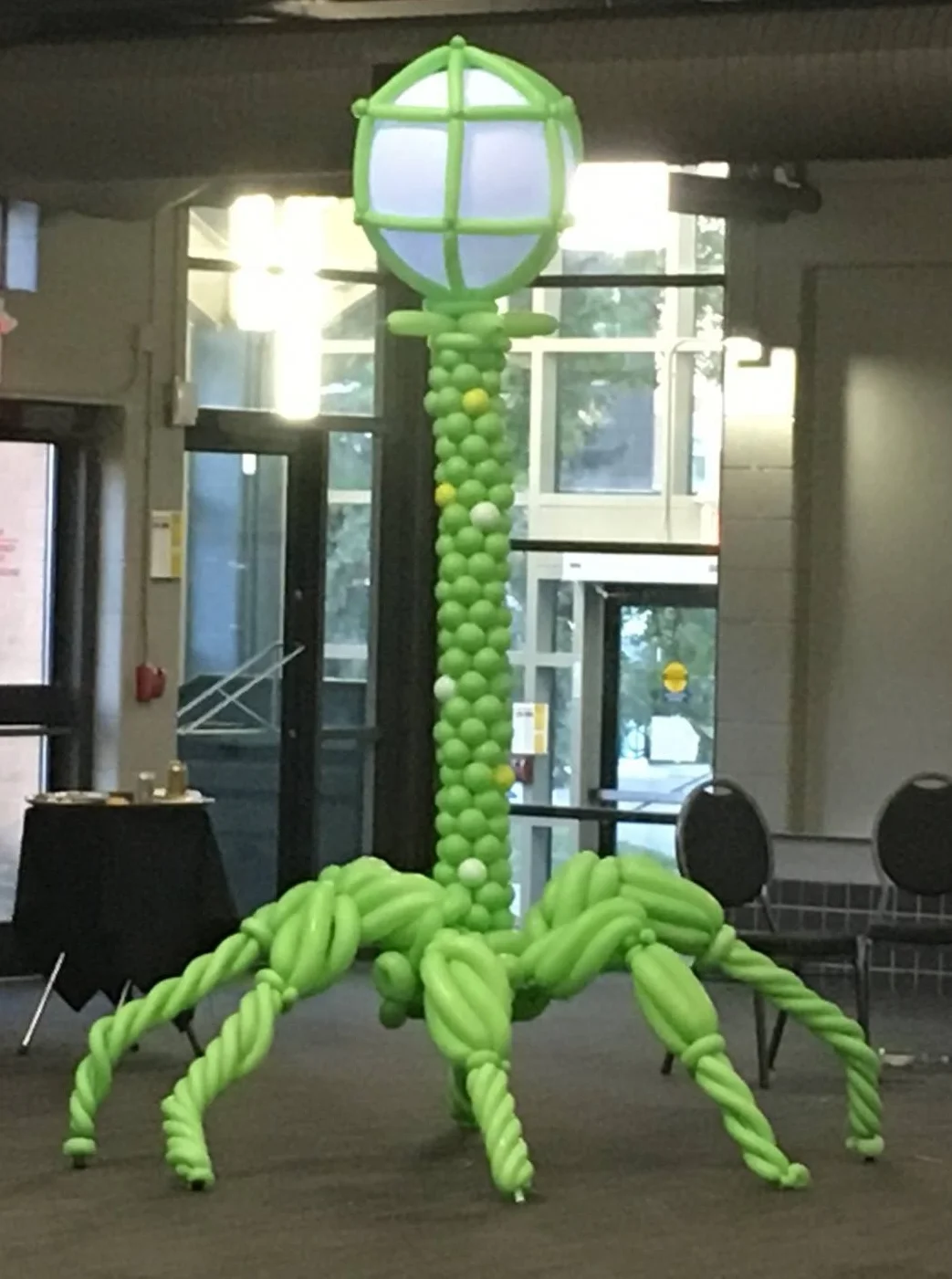 CSM 2017 Meeting, Waterloo. Interest in phage is ballooning.