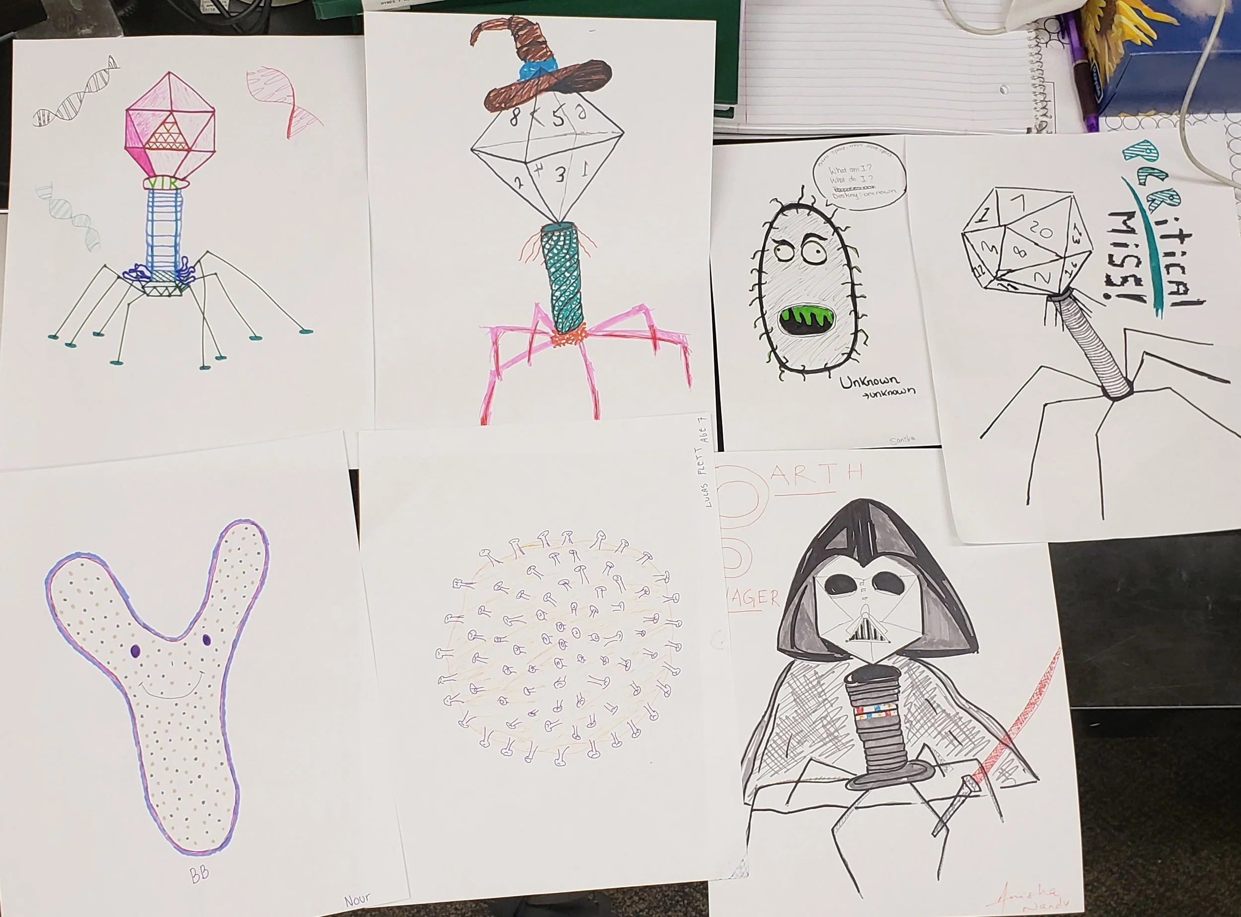 Therapeutic Phage Meeting