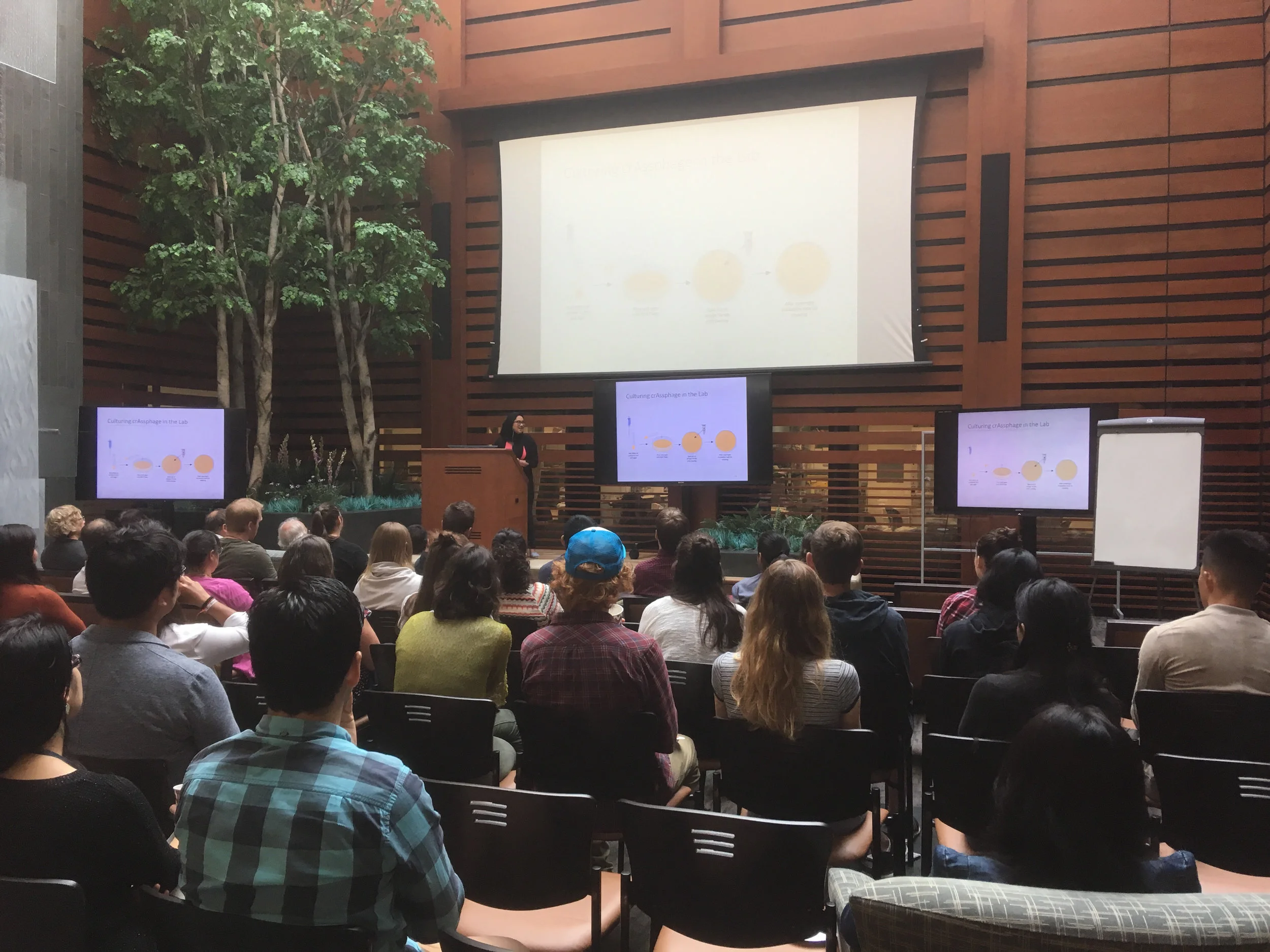 Farncombe Presentation