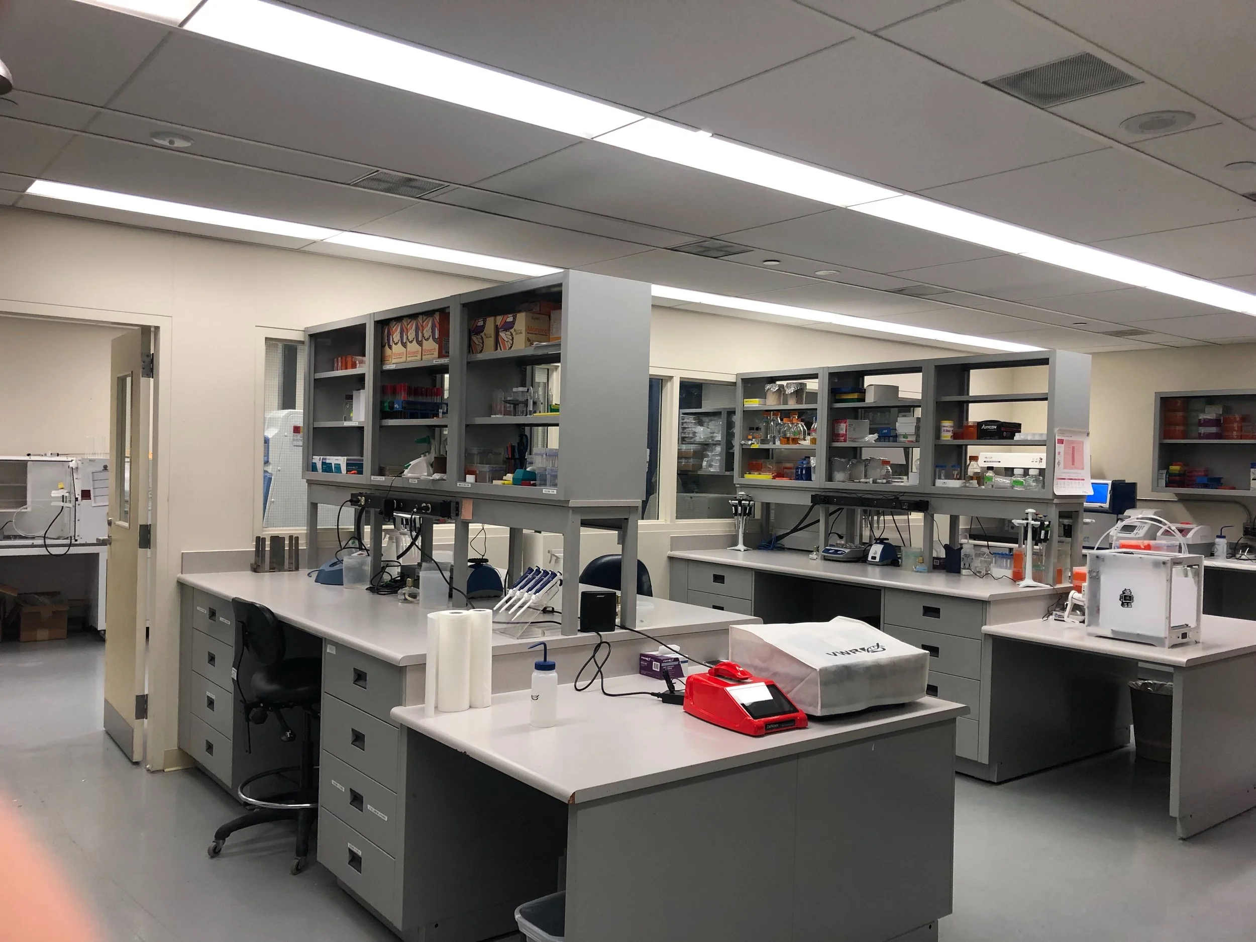 For one brief moment, order