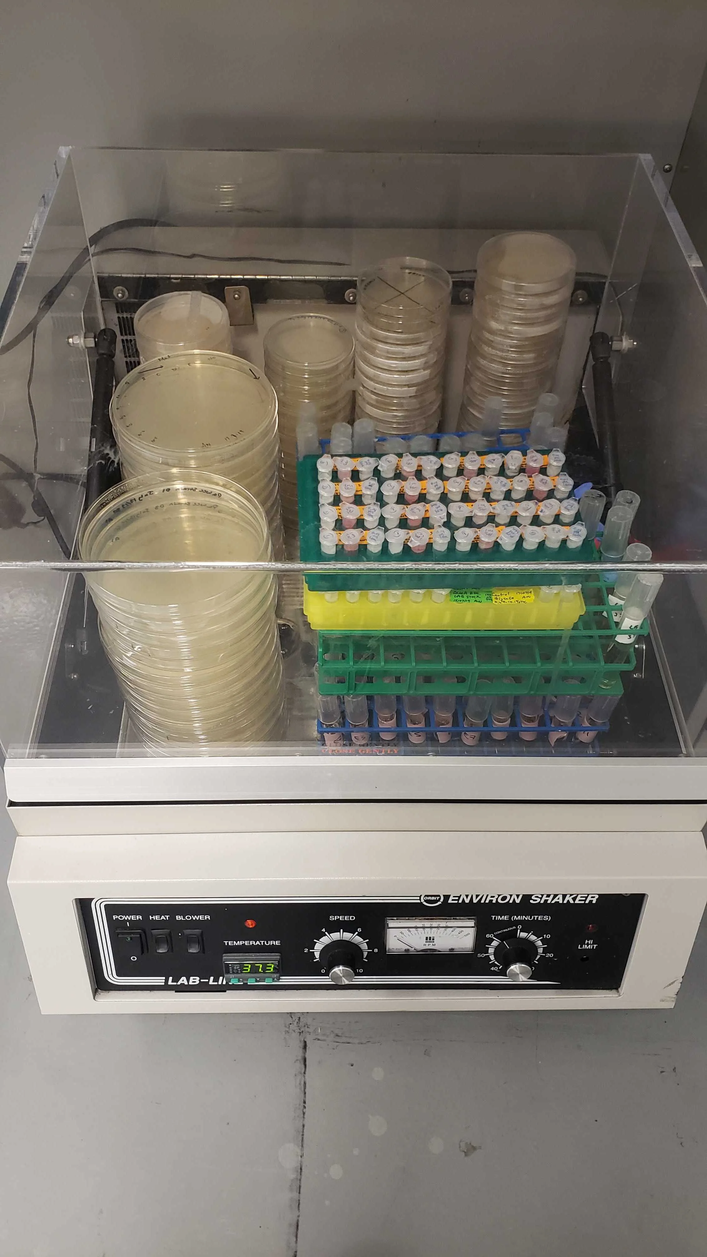 Not-so-subtle students....