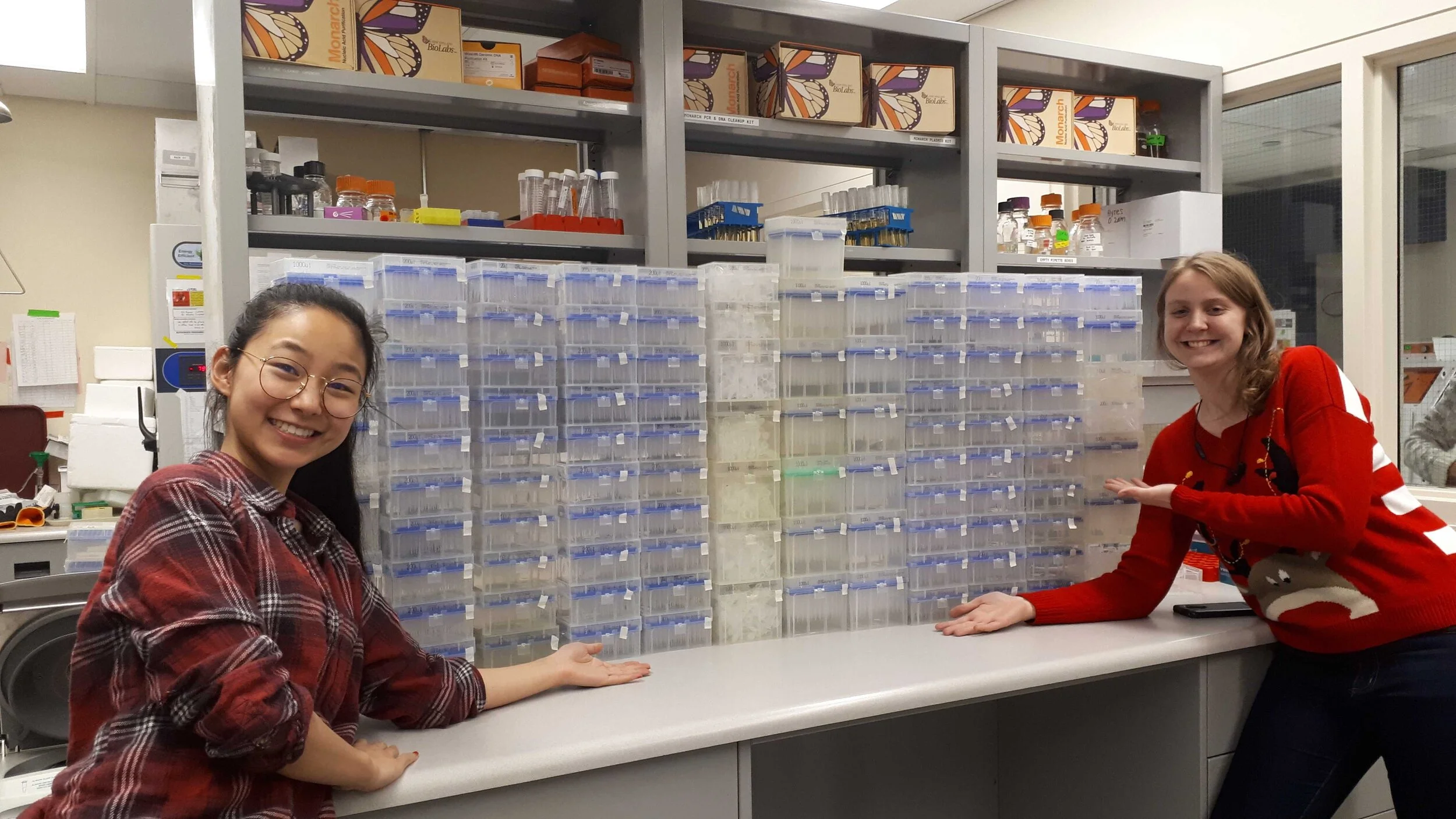 Crowning a new champion