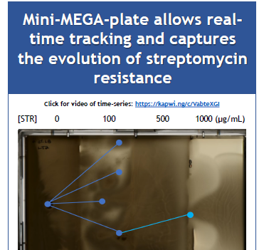 Science Communication Stars