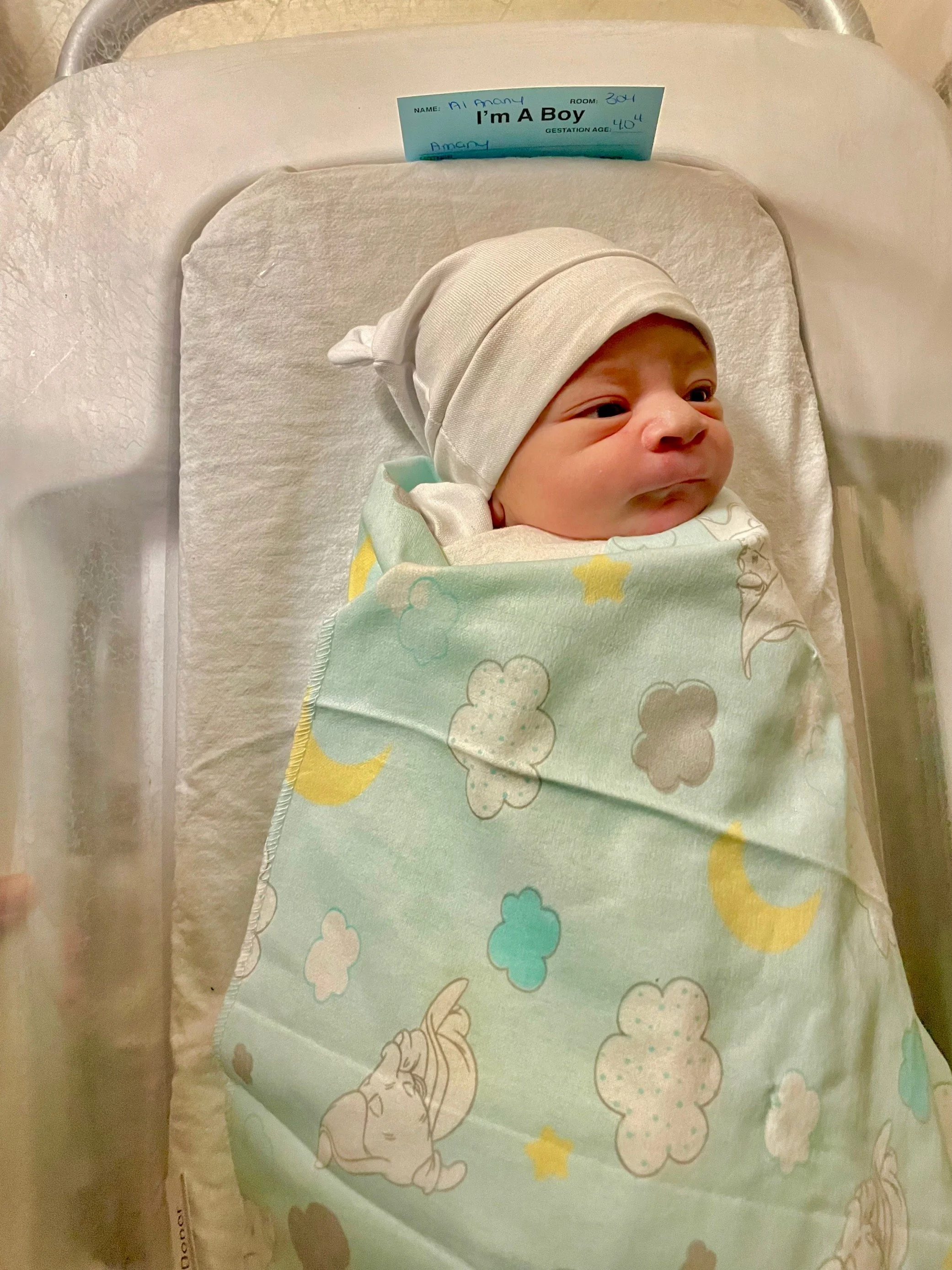 Amany's new Arrival!