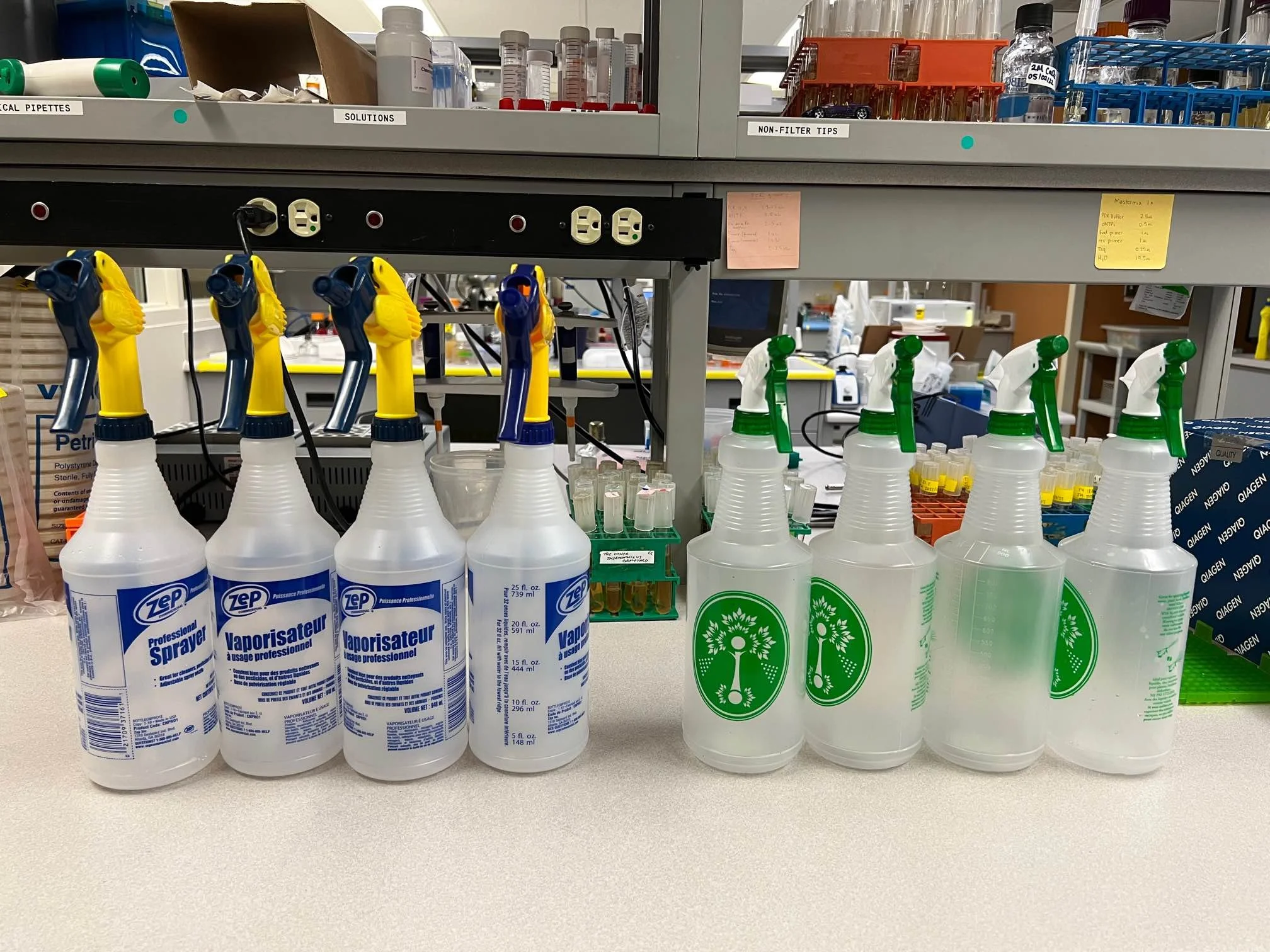 I buy them the best gifts