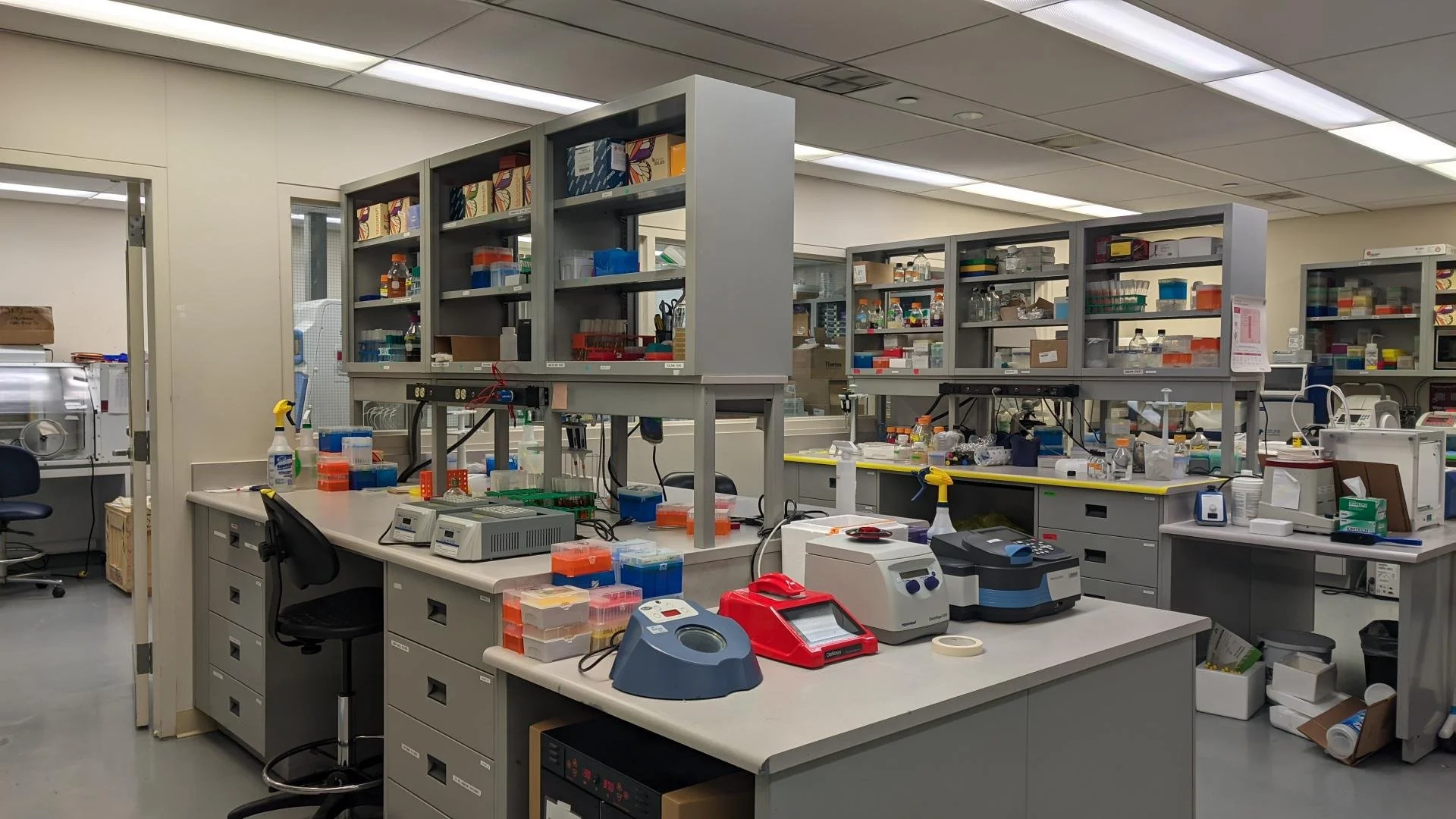 New Year, New(ly cleaned) Lab!