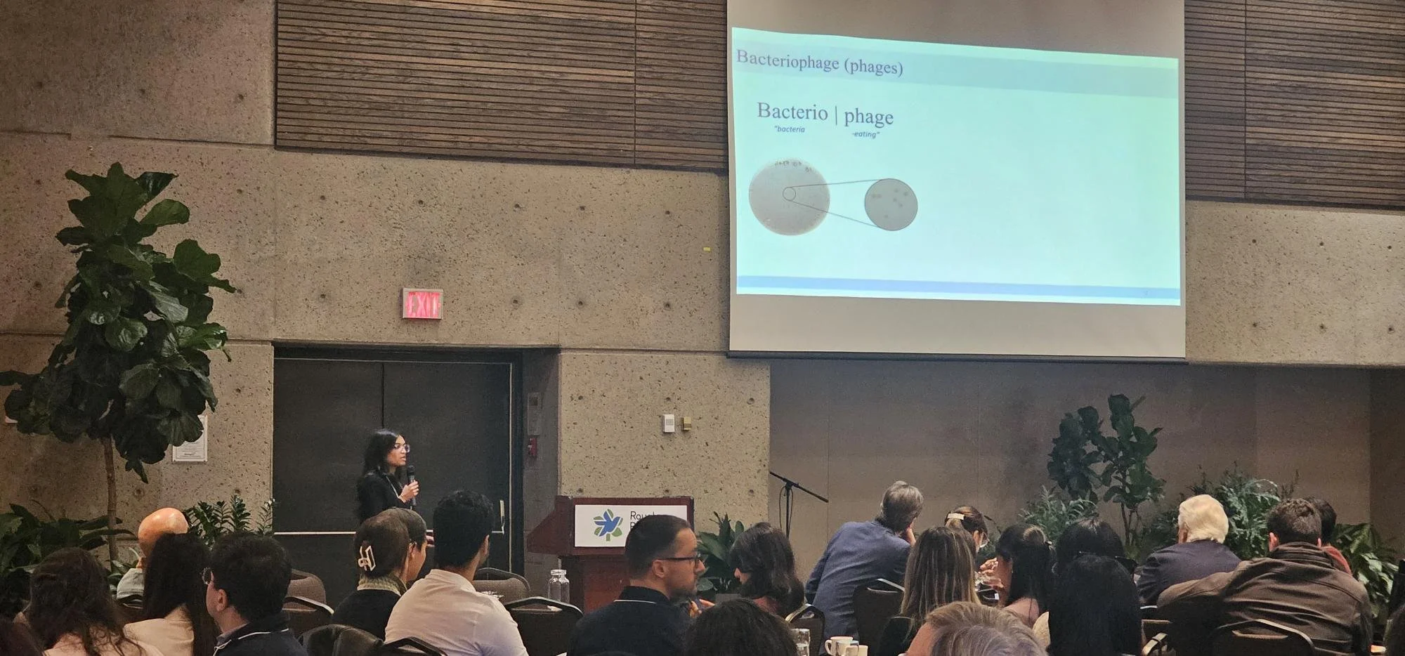 Bleomycin and Beyond!