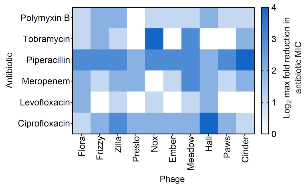 Pseudomonas publication