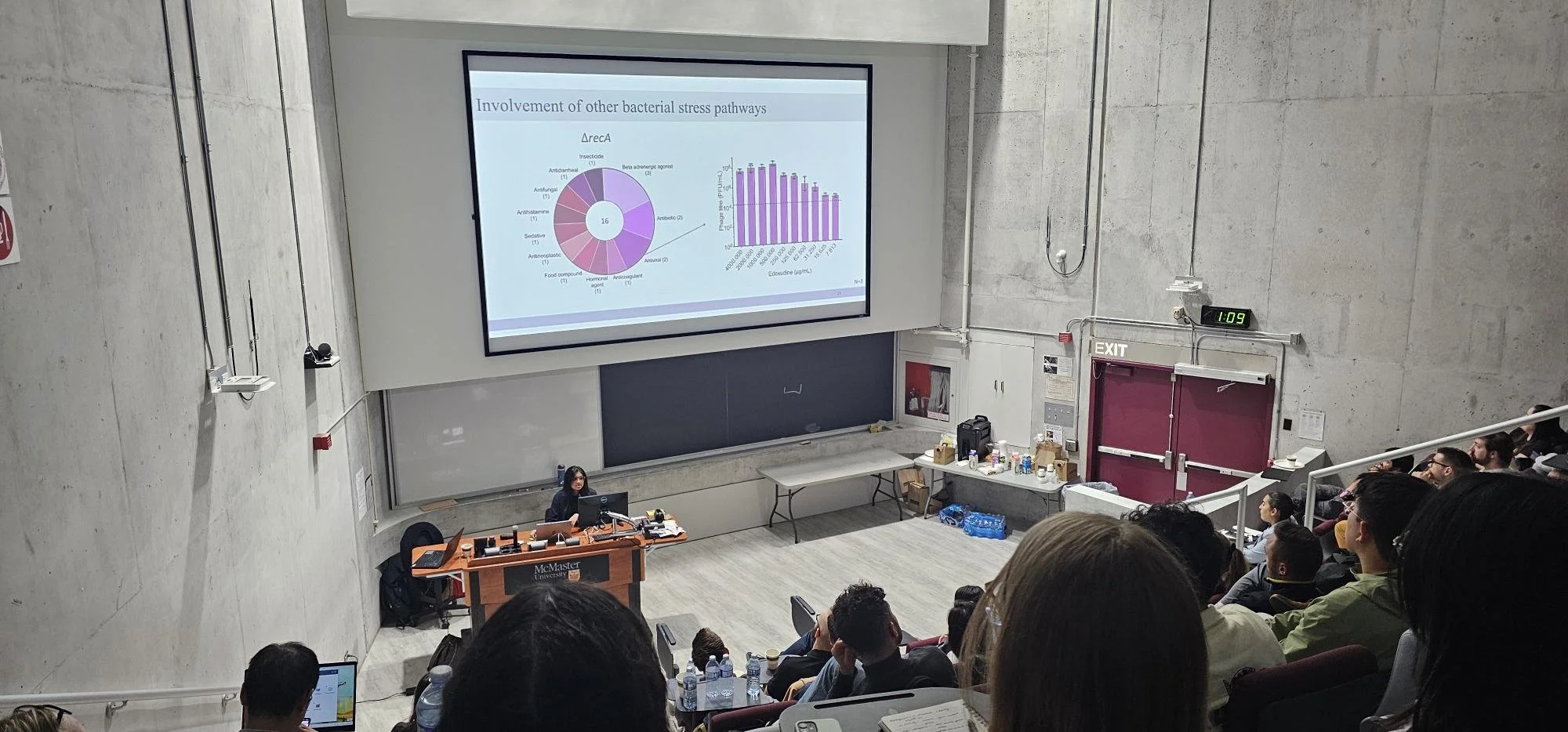 Errant Ecotoxicology?
