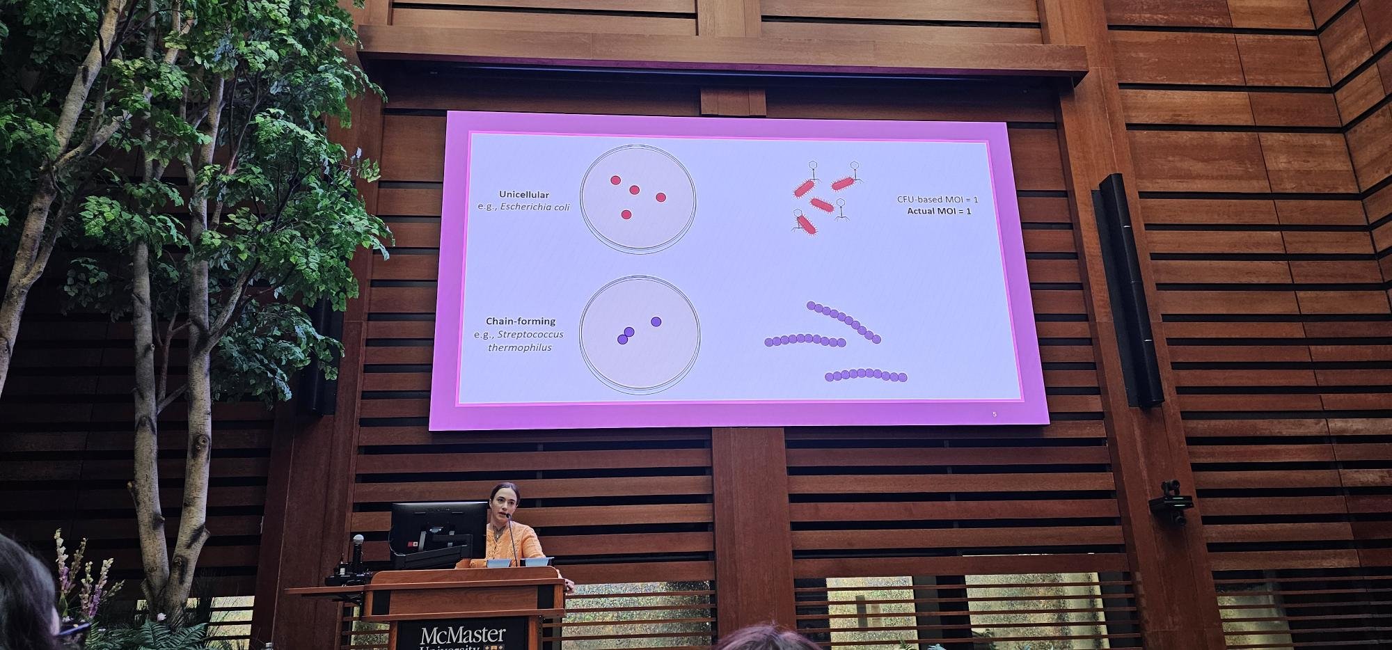 While the Supervisor's Away...