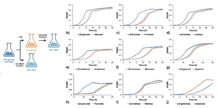 Productive Period, for Preprints