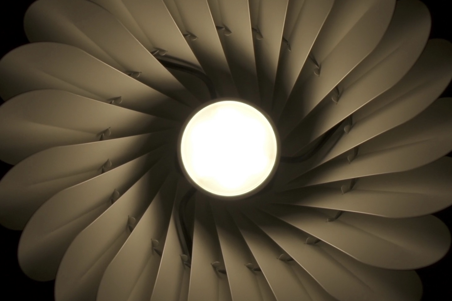Shade Intro film ONLINE.00_02_33_21.Still005 crop.jpg